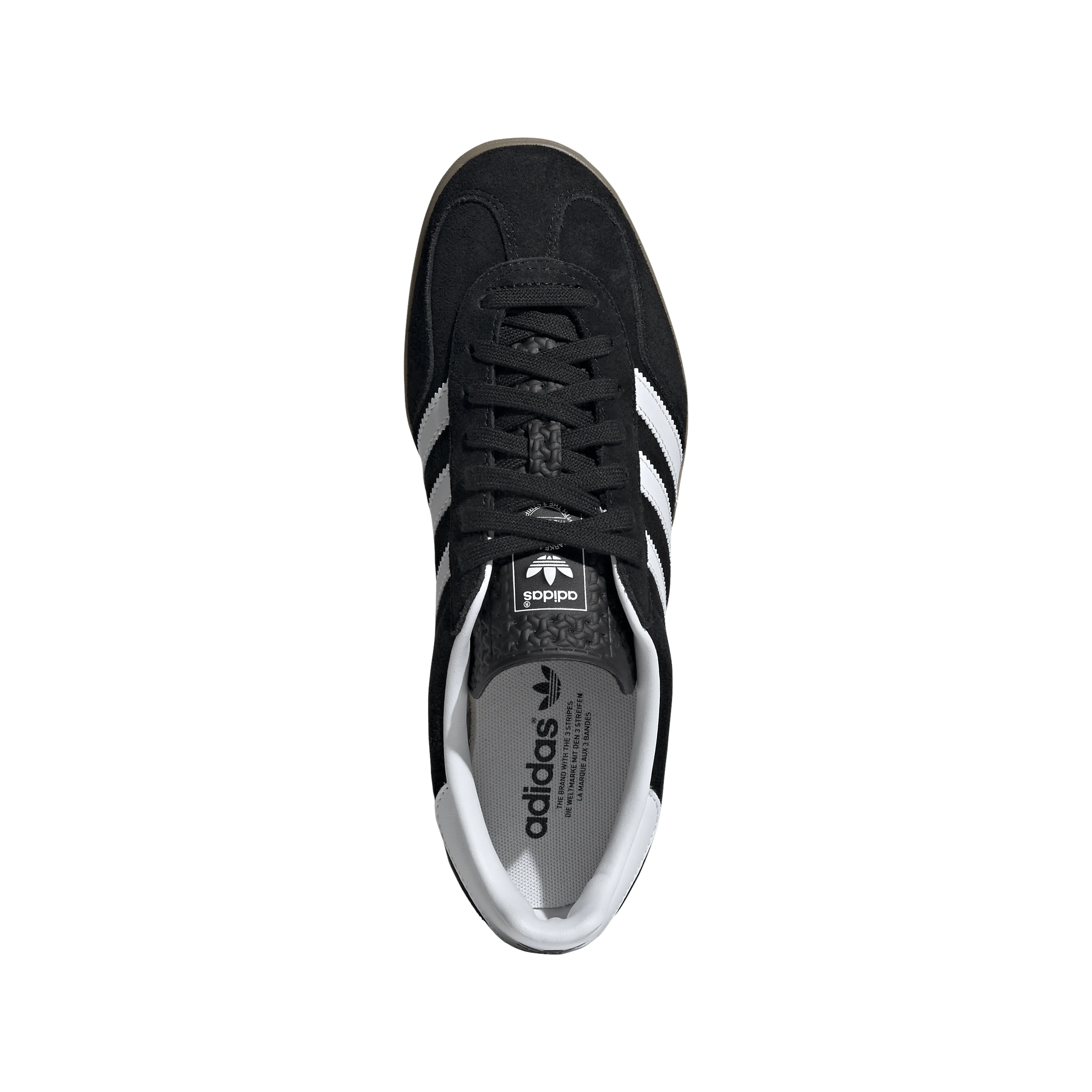 Gazelle 