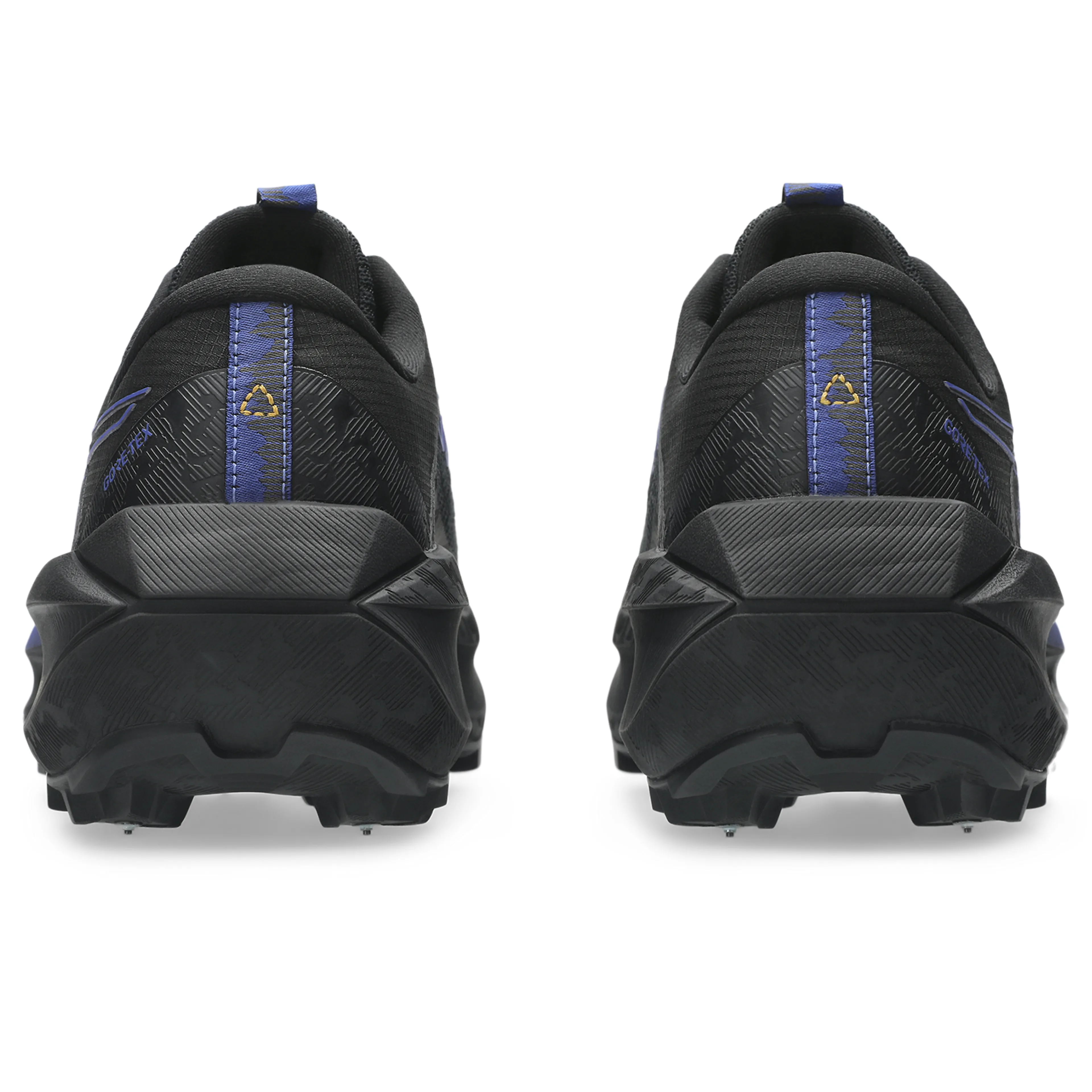 FUJISETSU MAX GTX