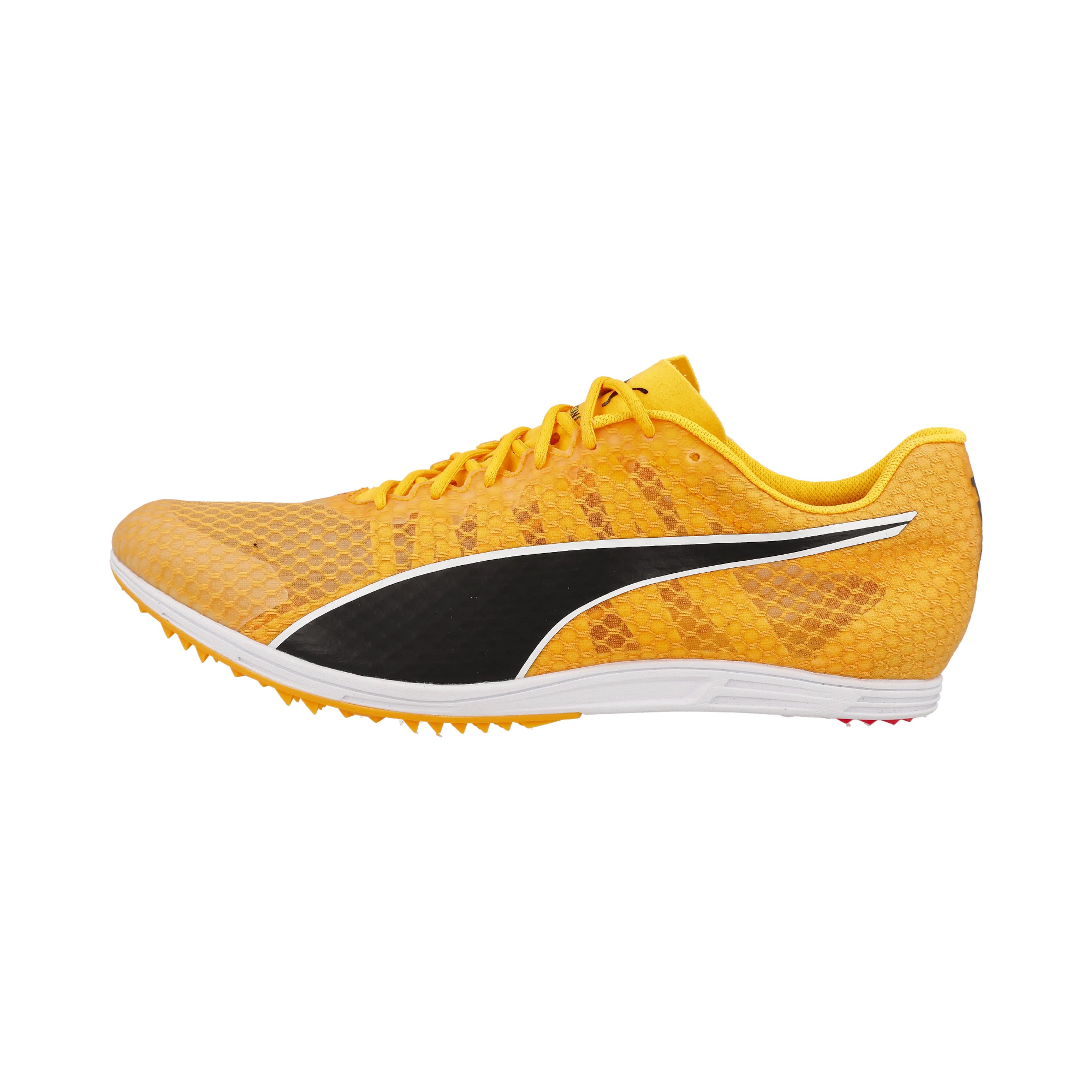 evoSPEED Distance 11