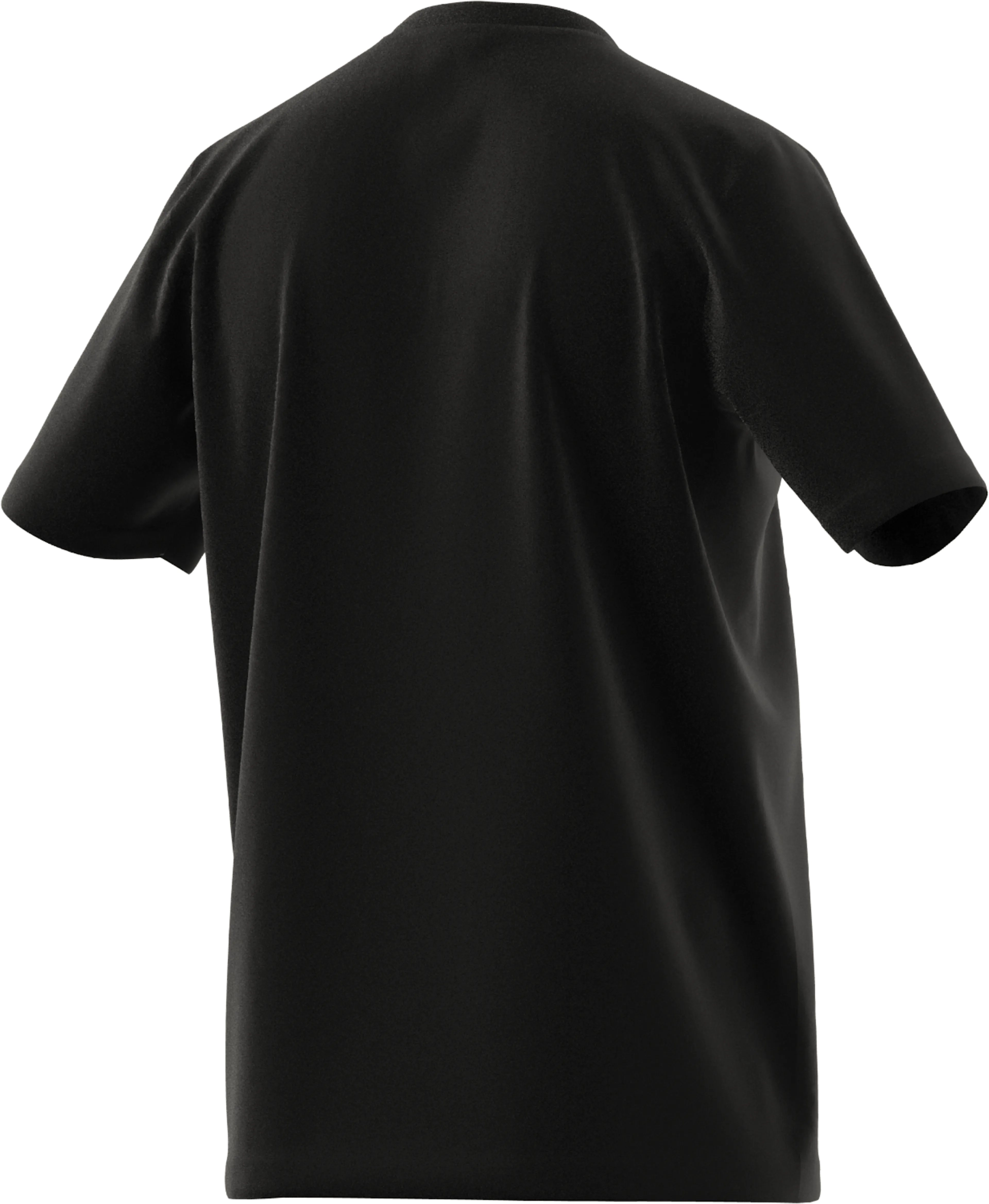 SPW TEE