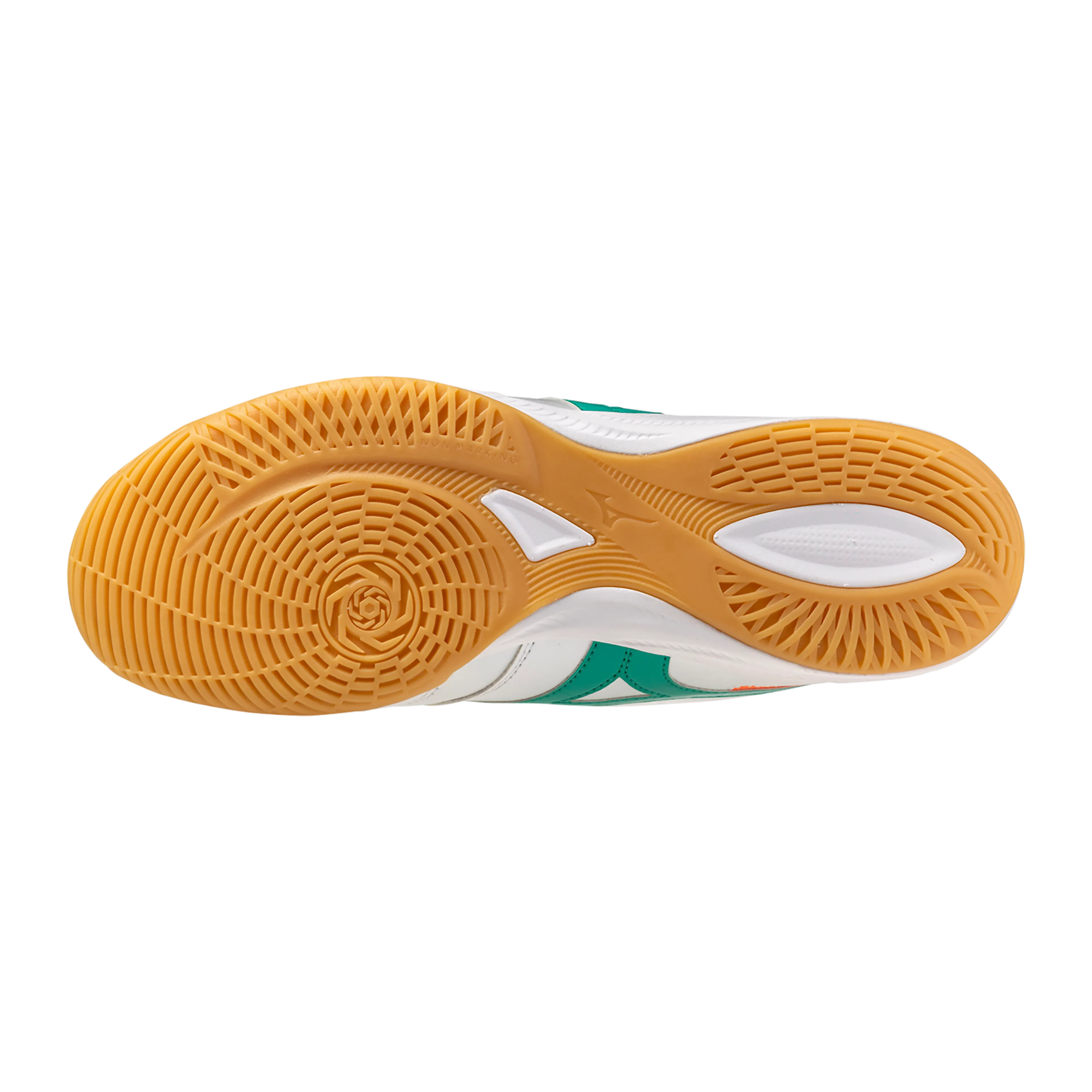 MORELIA SALA PRO IN