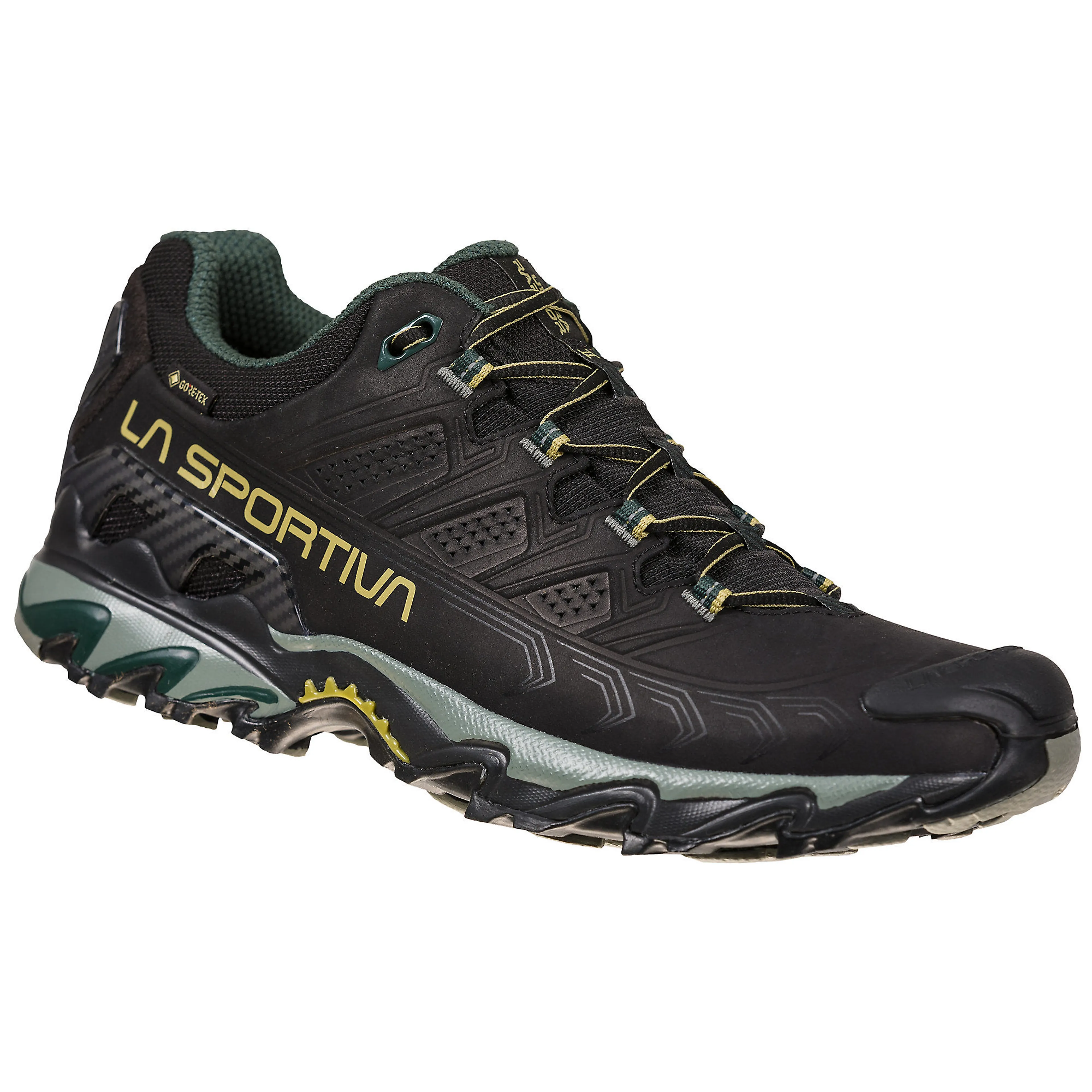Ultra Raptor II LT GTX terrengløpesko herre