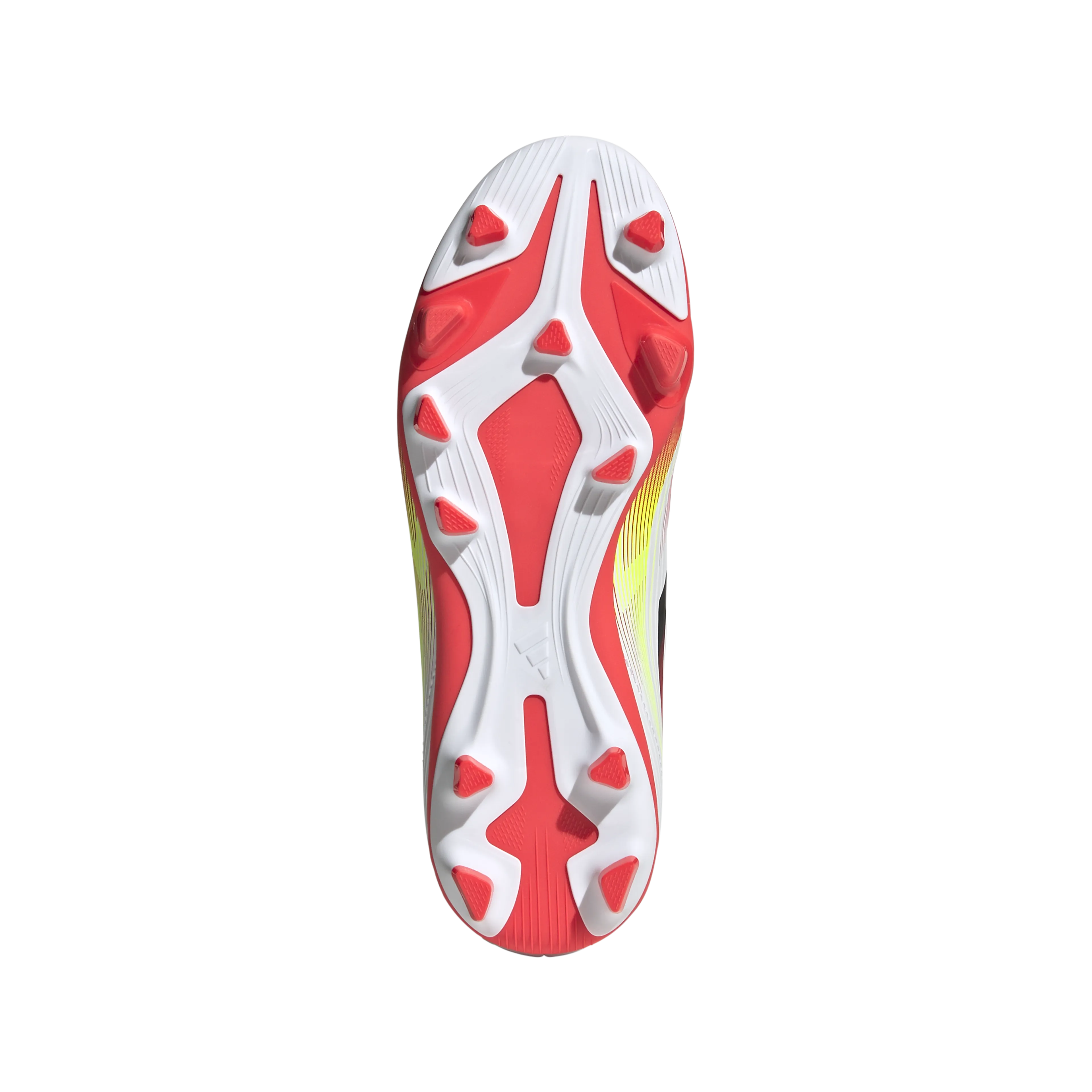 F50 CLUB FG/MG J