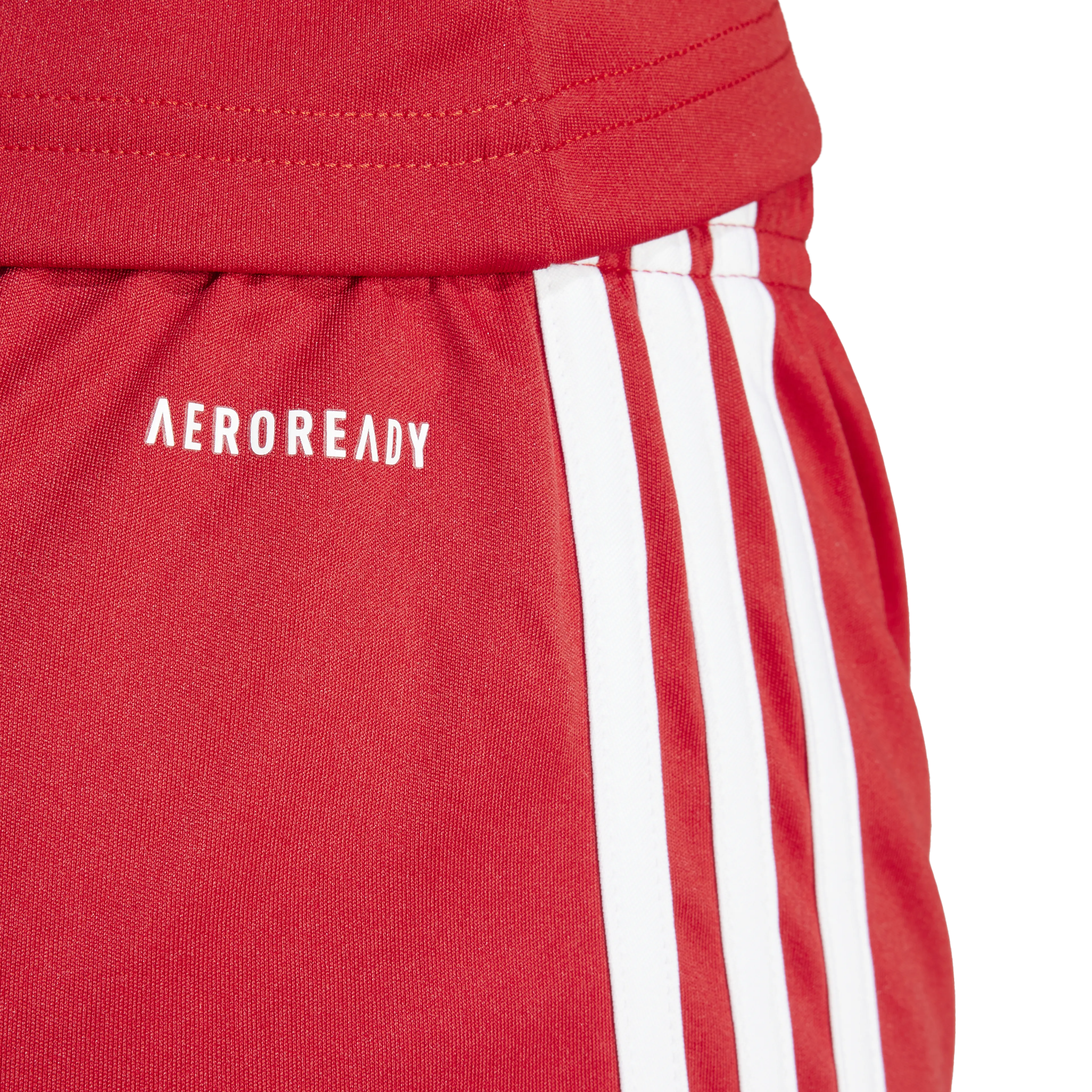 Squadra 25 Shorts Dame