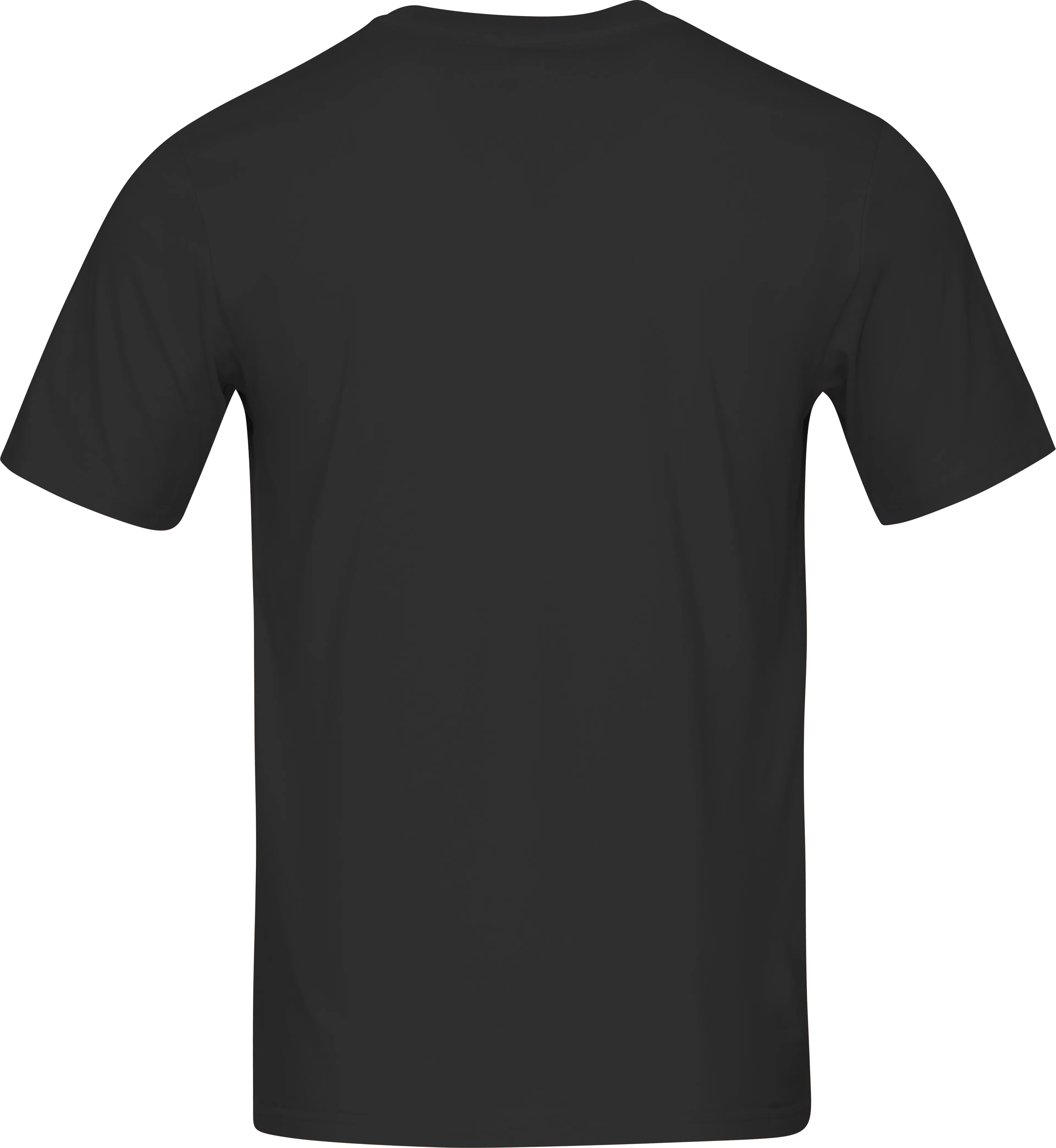 /29 cotton viking T-Shirt M's