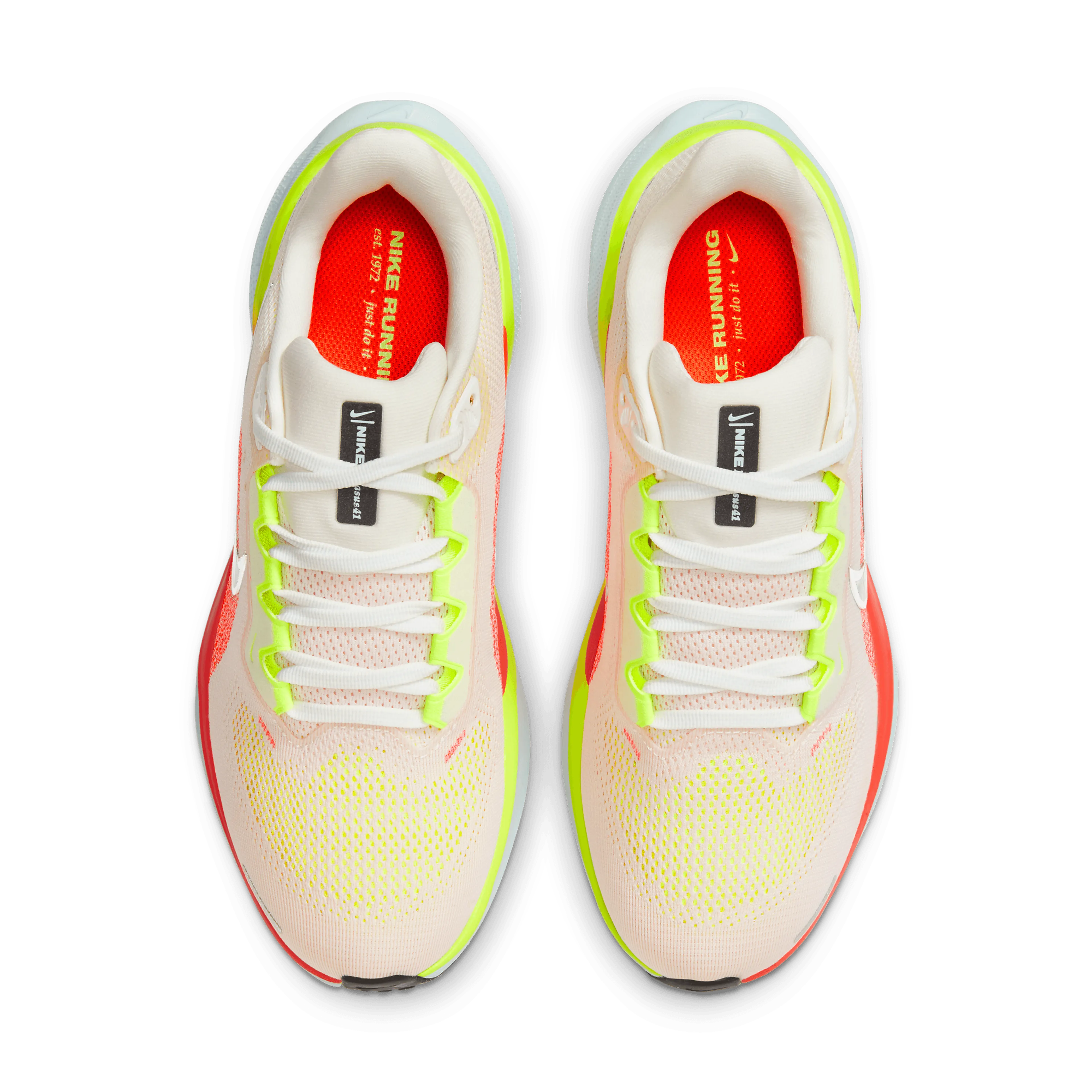 AIR ZOOM PEGASUS 41