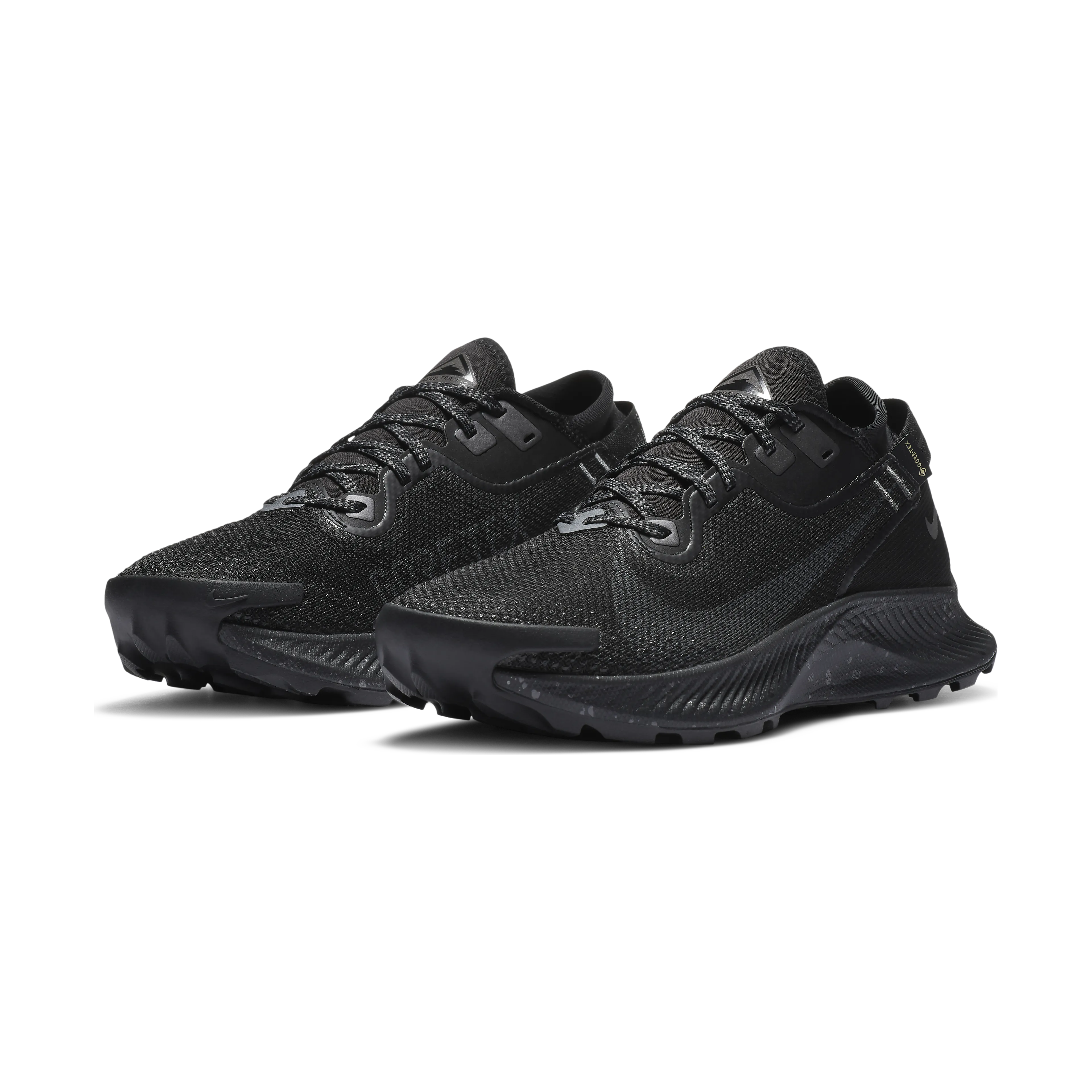Pegasus Trail 2 GTX