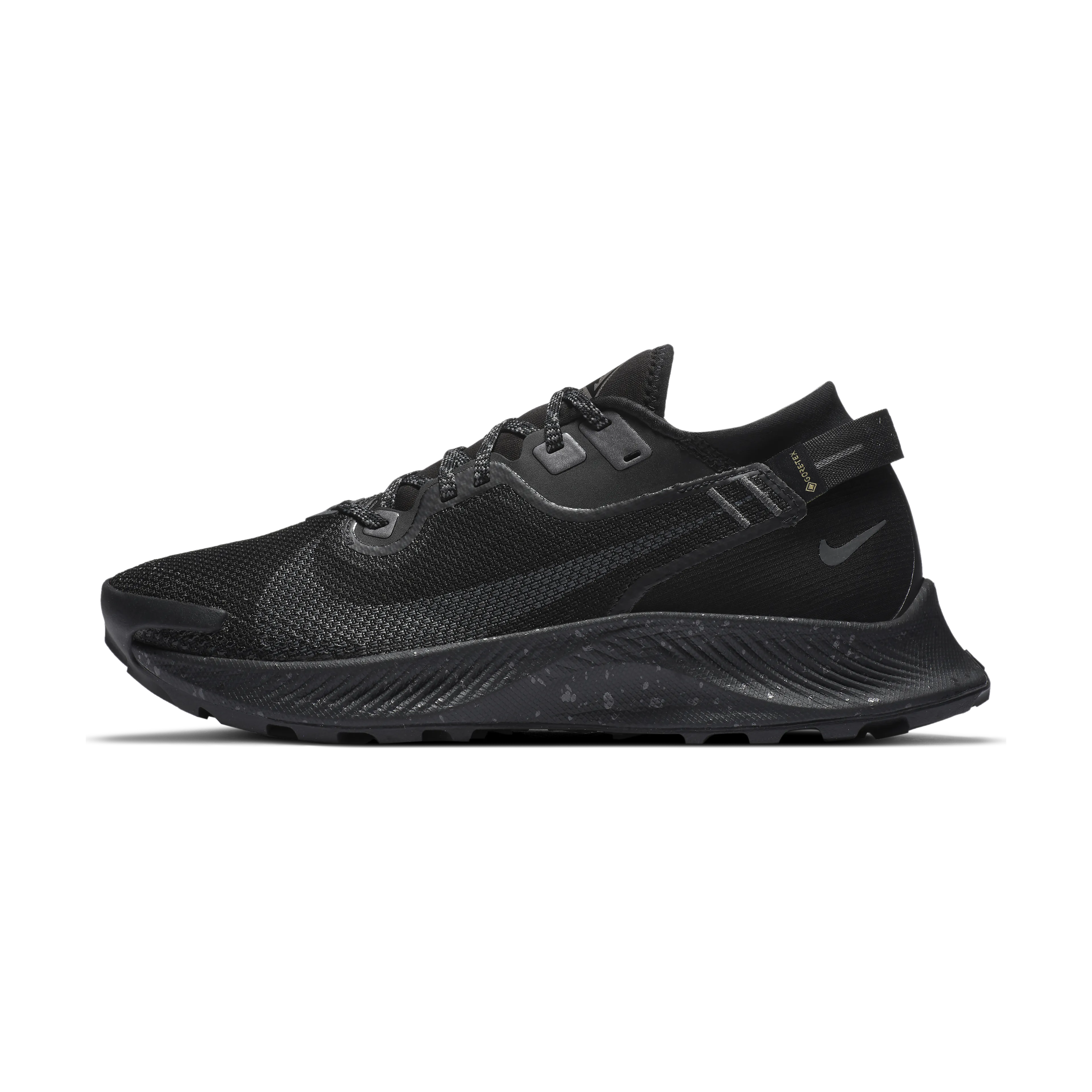 Pegasus Trail 2 GTX