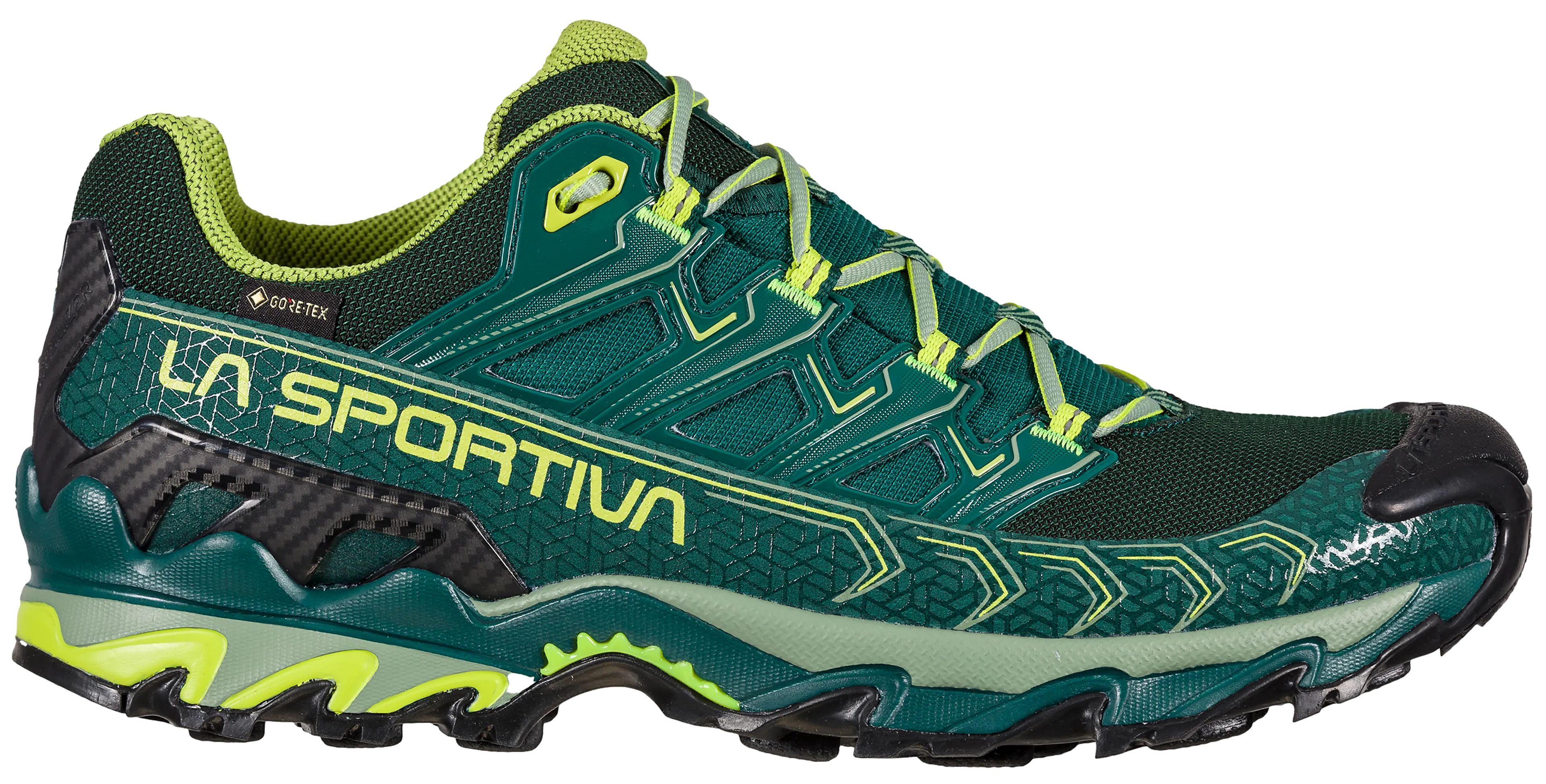 Ultra Raptor II GTX Hikingsko