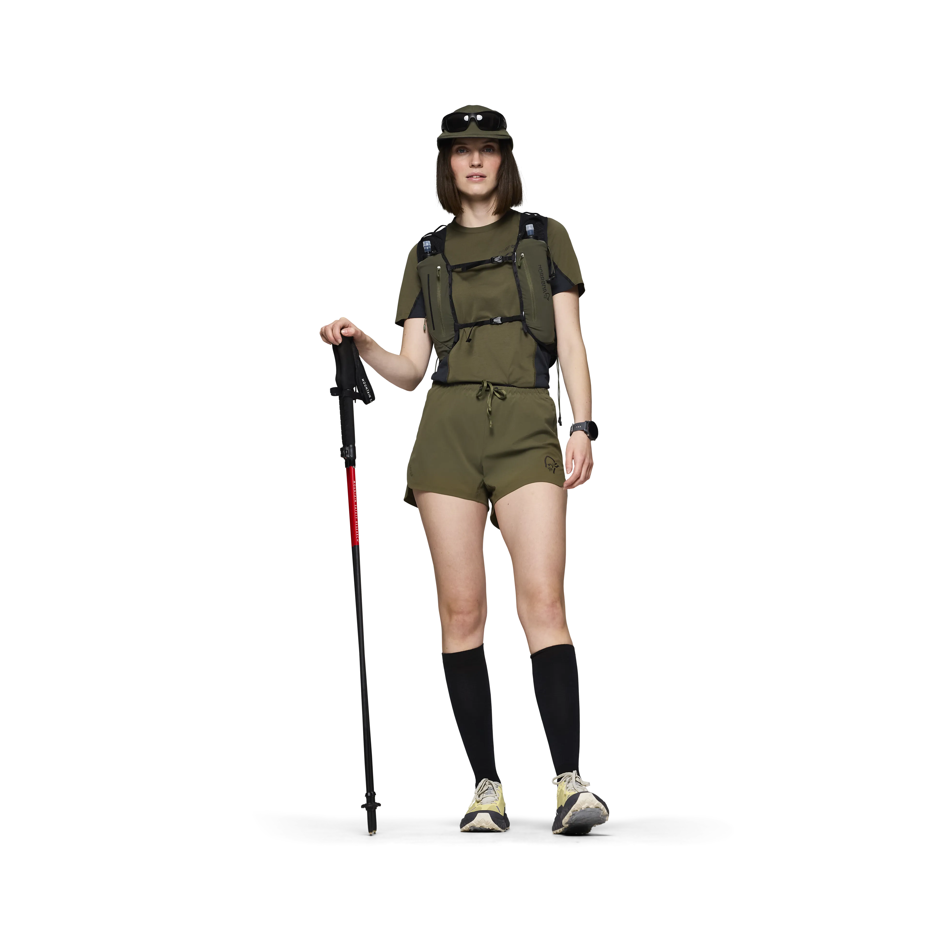 Olive Night