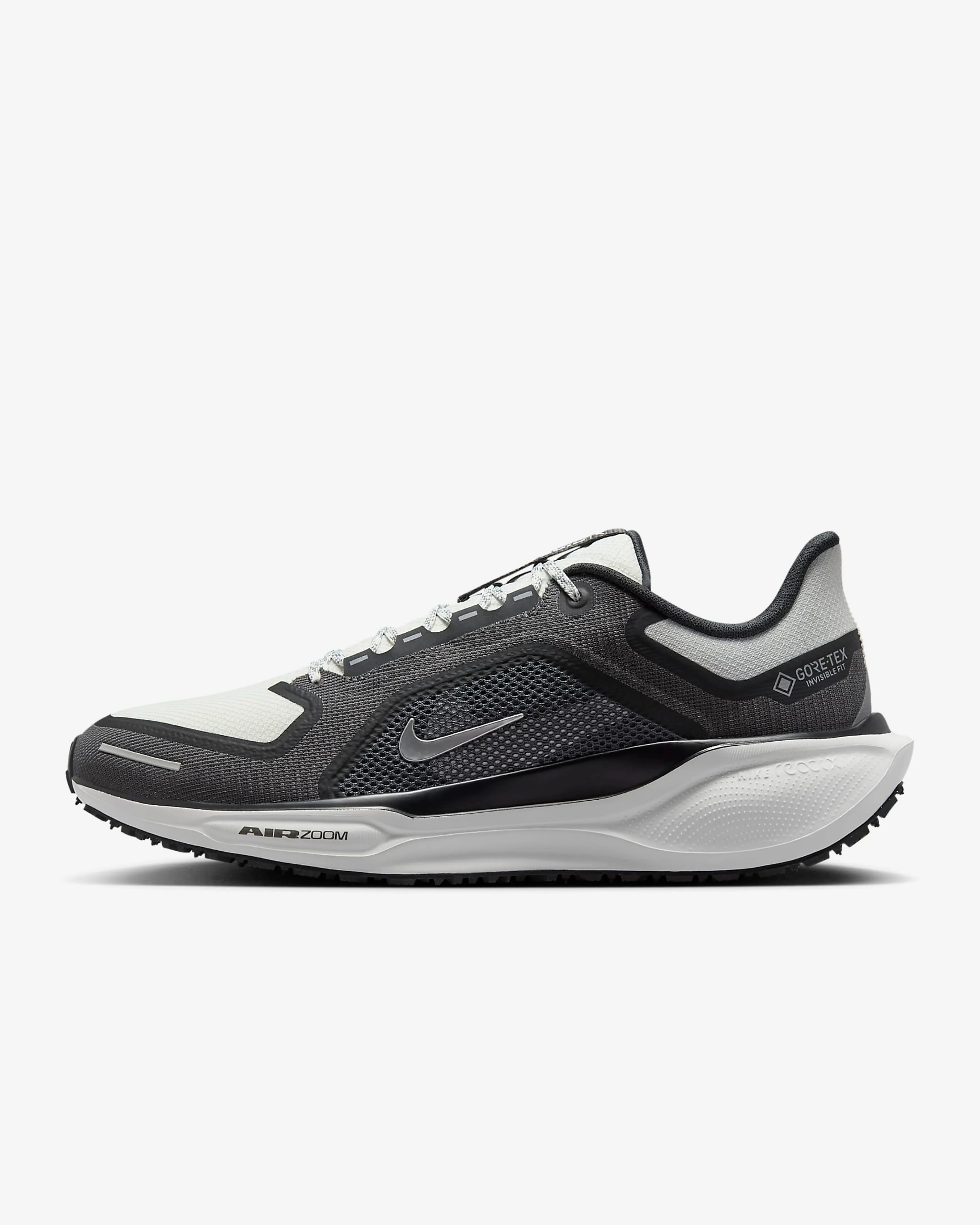 Pegasus 41 GORE-TEX