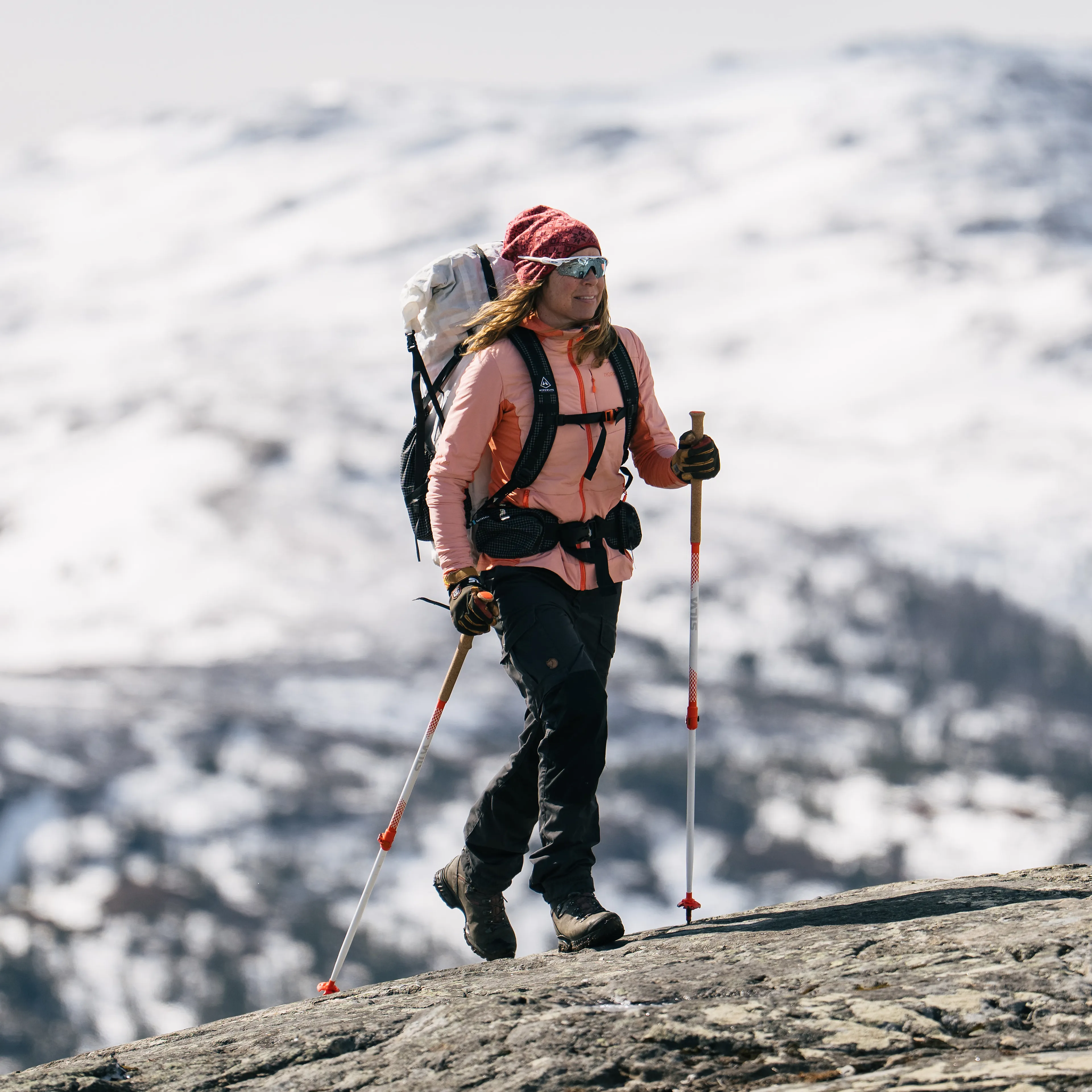 Trekking poles all season alpine alu tele