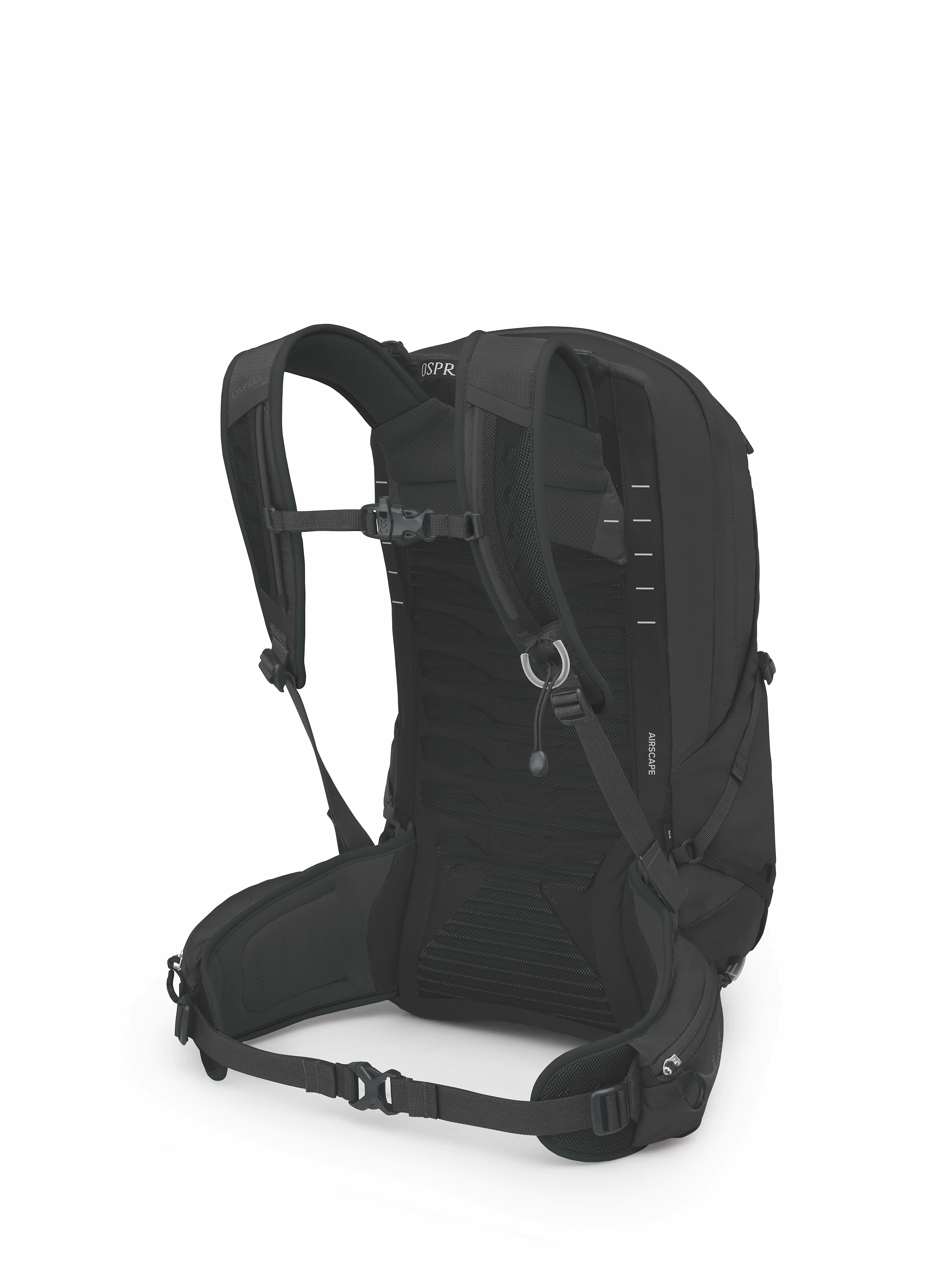 Talon 22