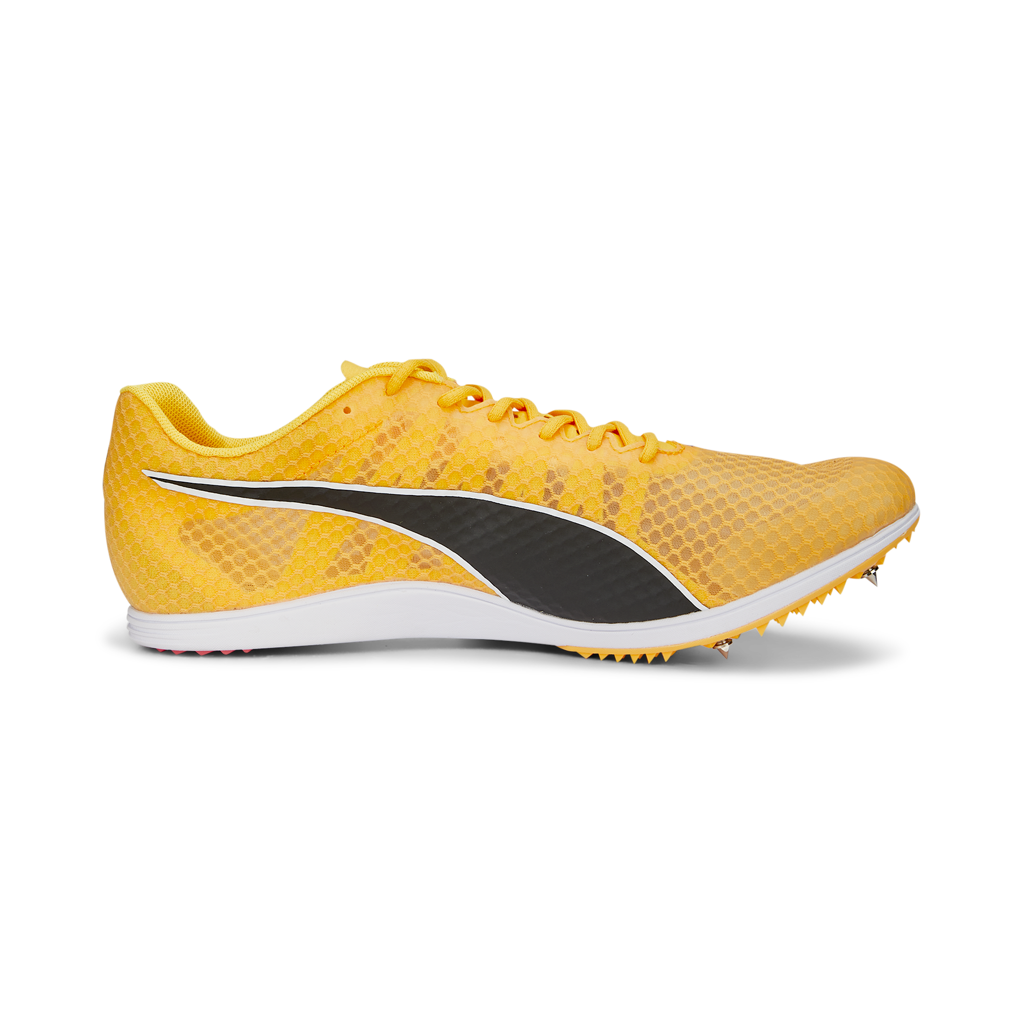 evoSPEED Distance 11