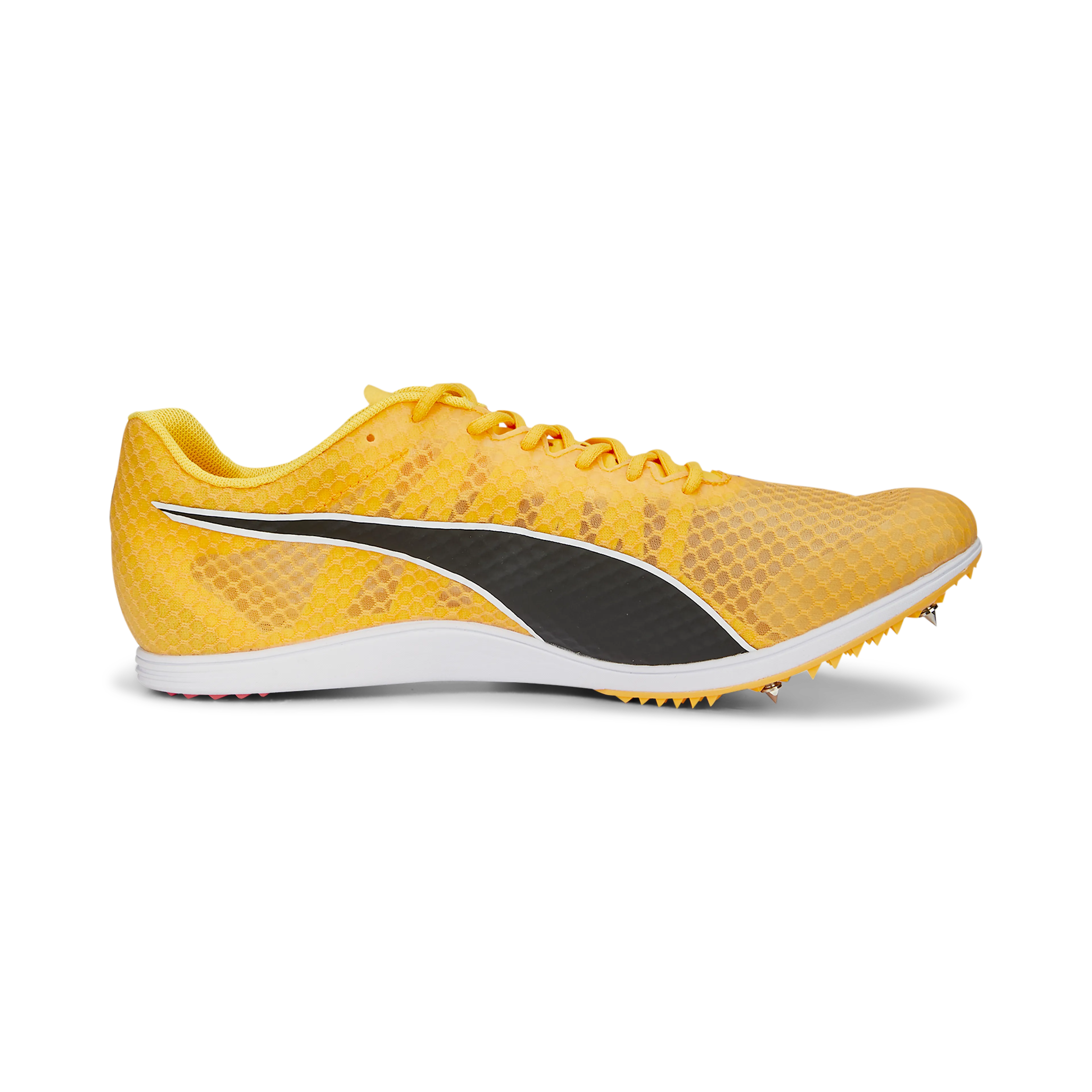 evoSPEED Distance 11