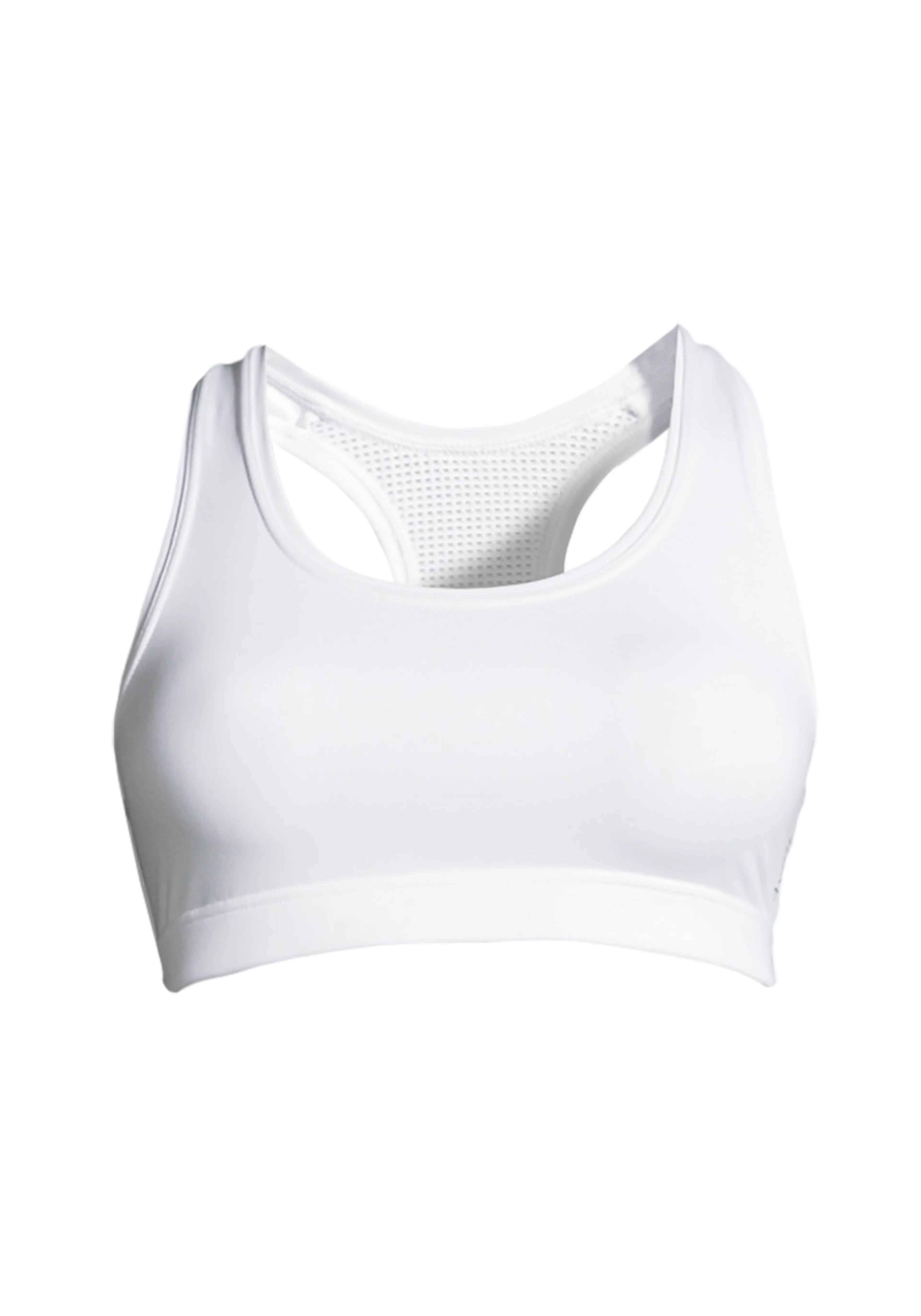 Iconic Sports Bra