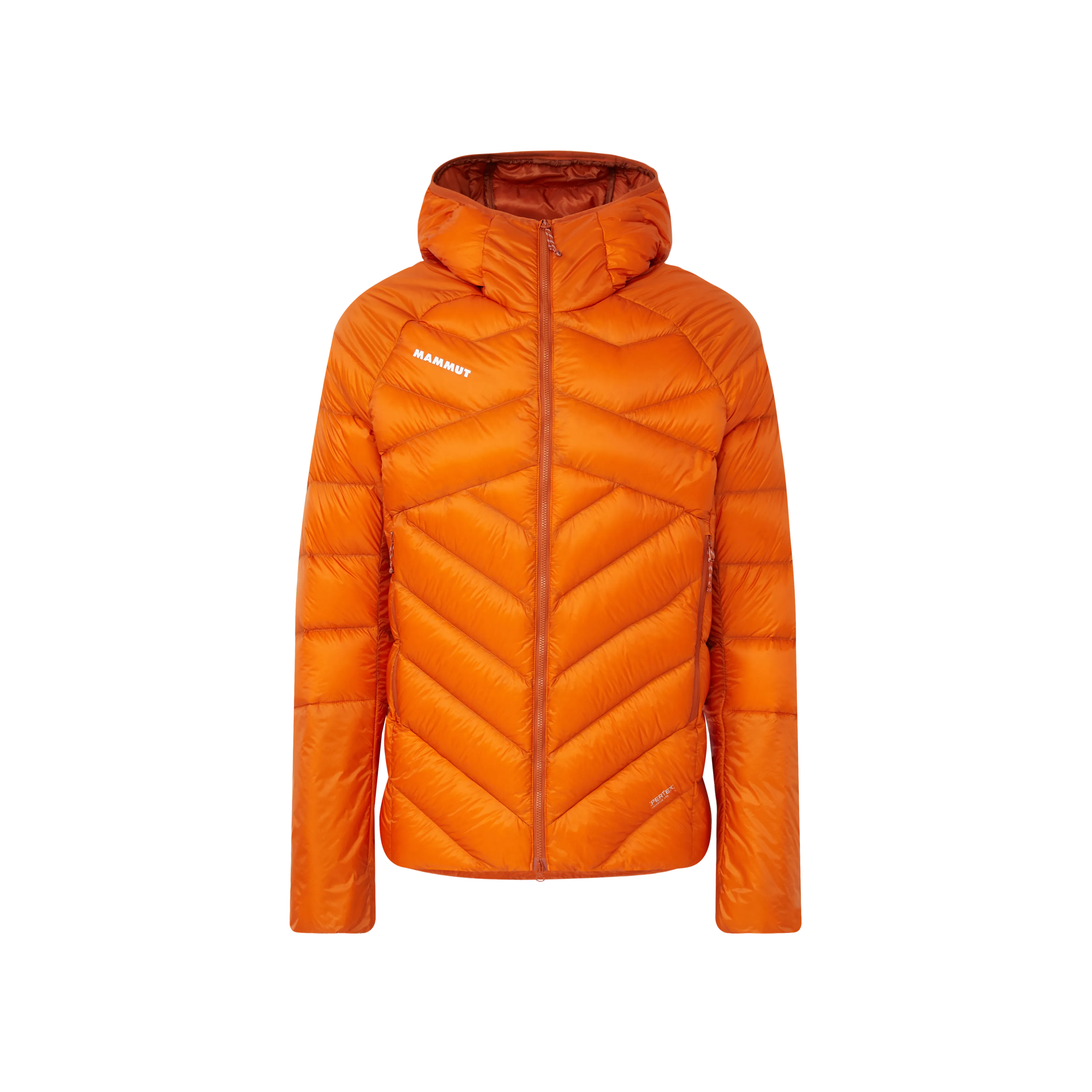 Taiss IN Hooded Jacket Men