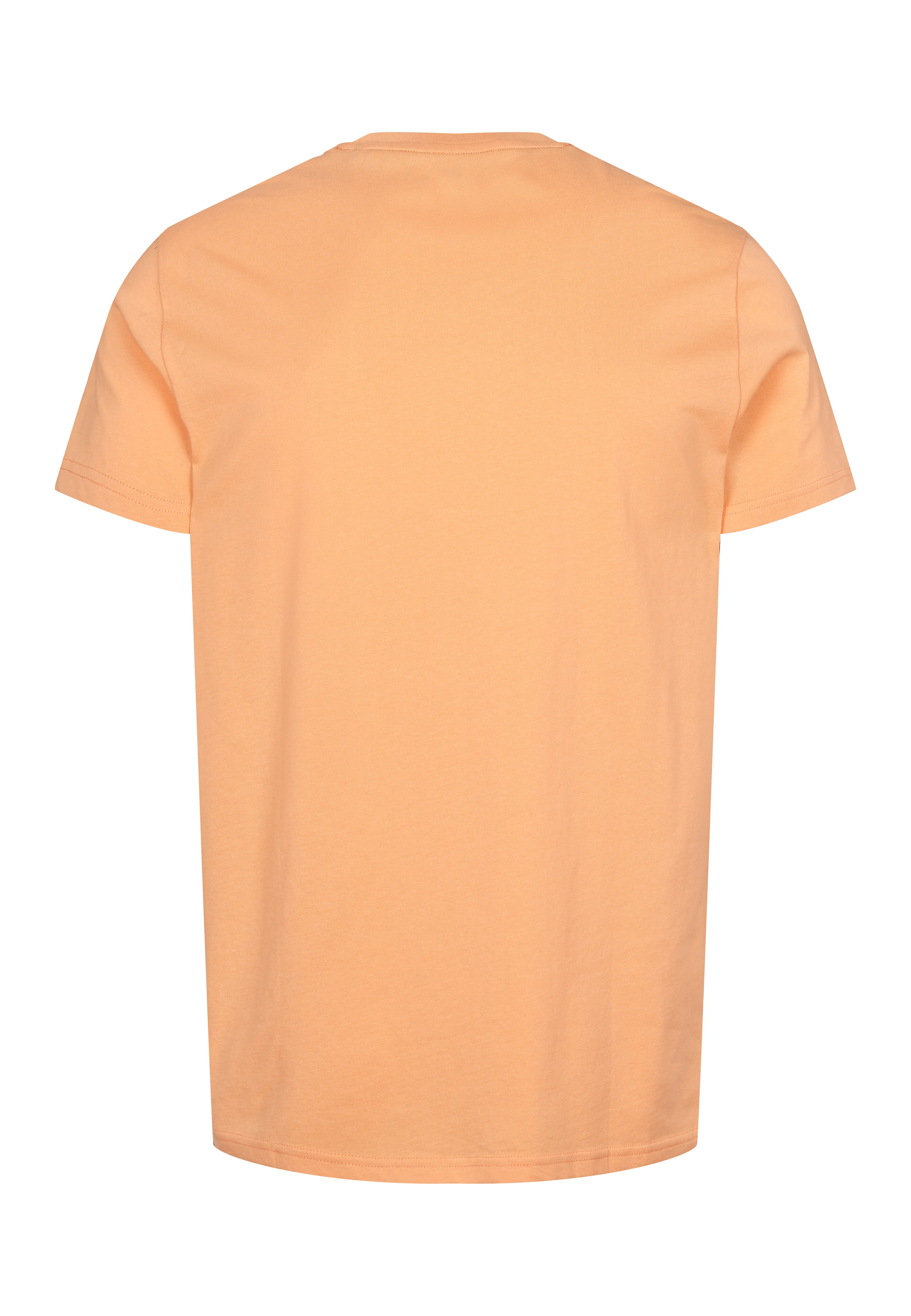 USPA T-Shirt Arjun Men