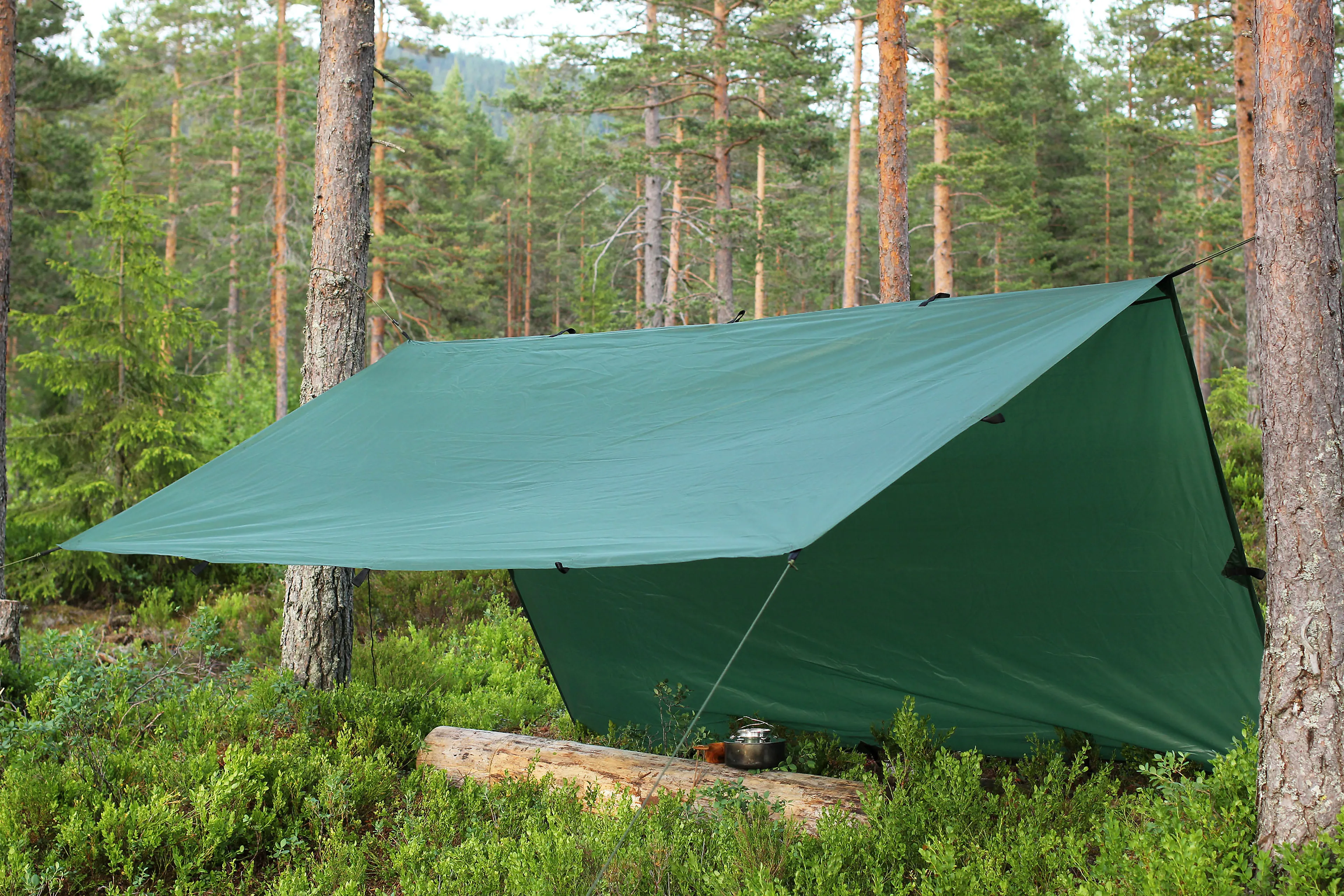 Tarp / Gapahuk med tau og plugger