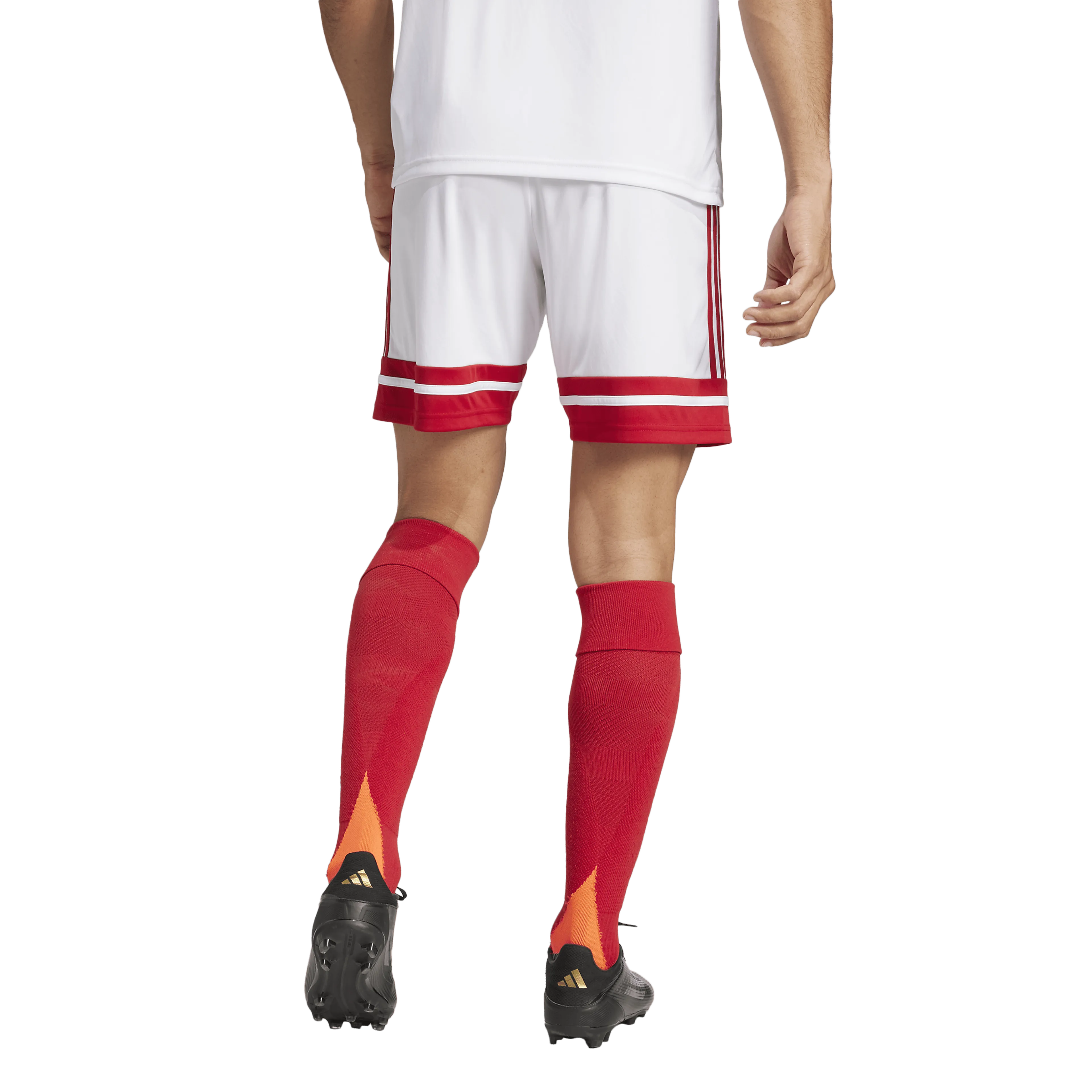 Squadra 25 Shorts