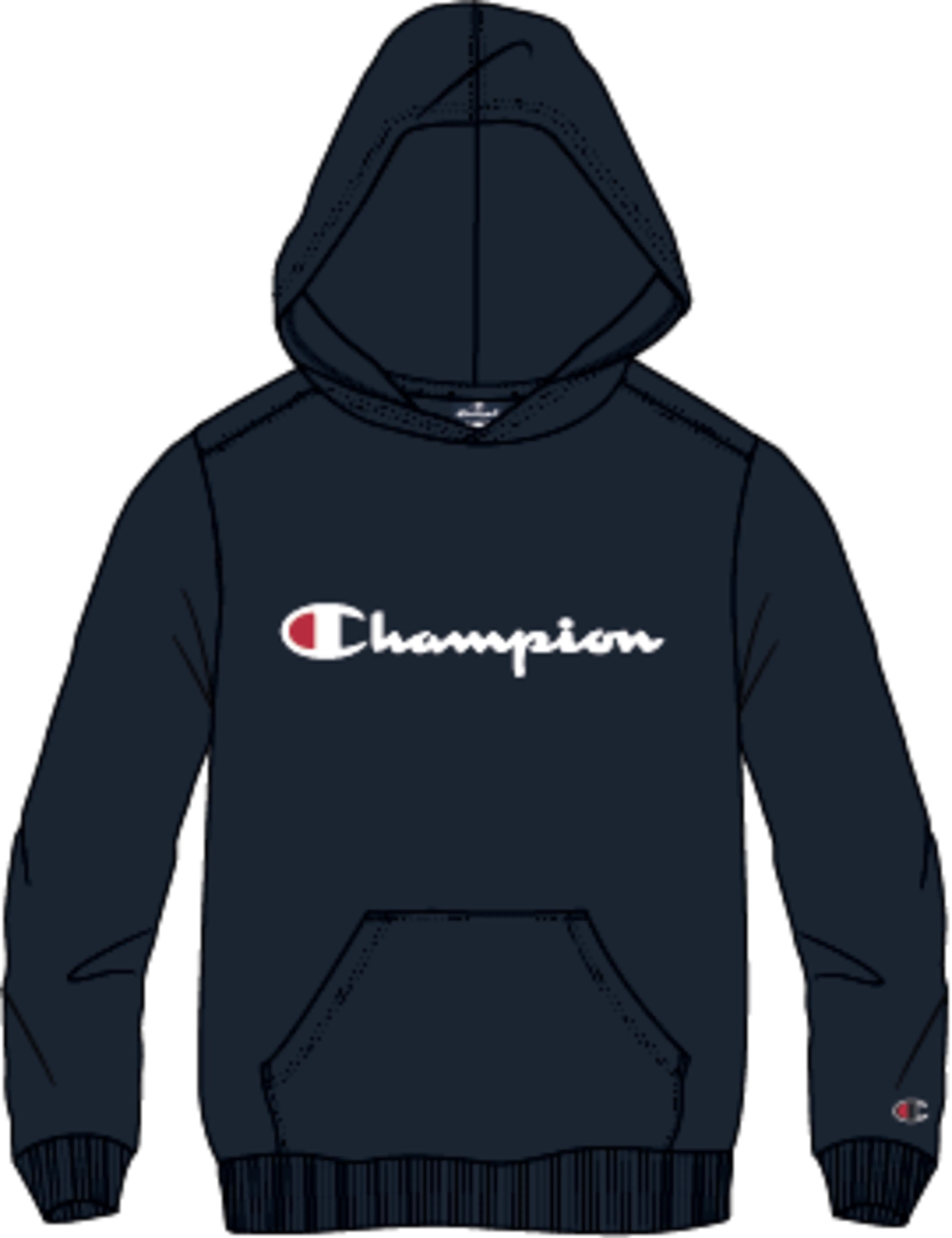 ICONS Hoodie Contrast Logo