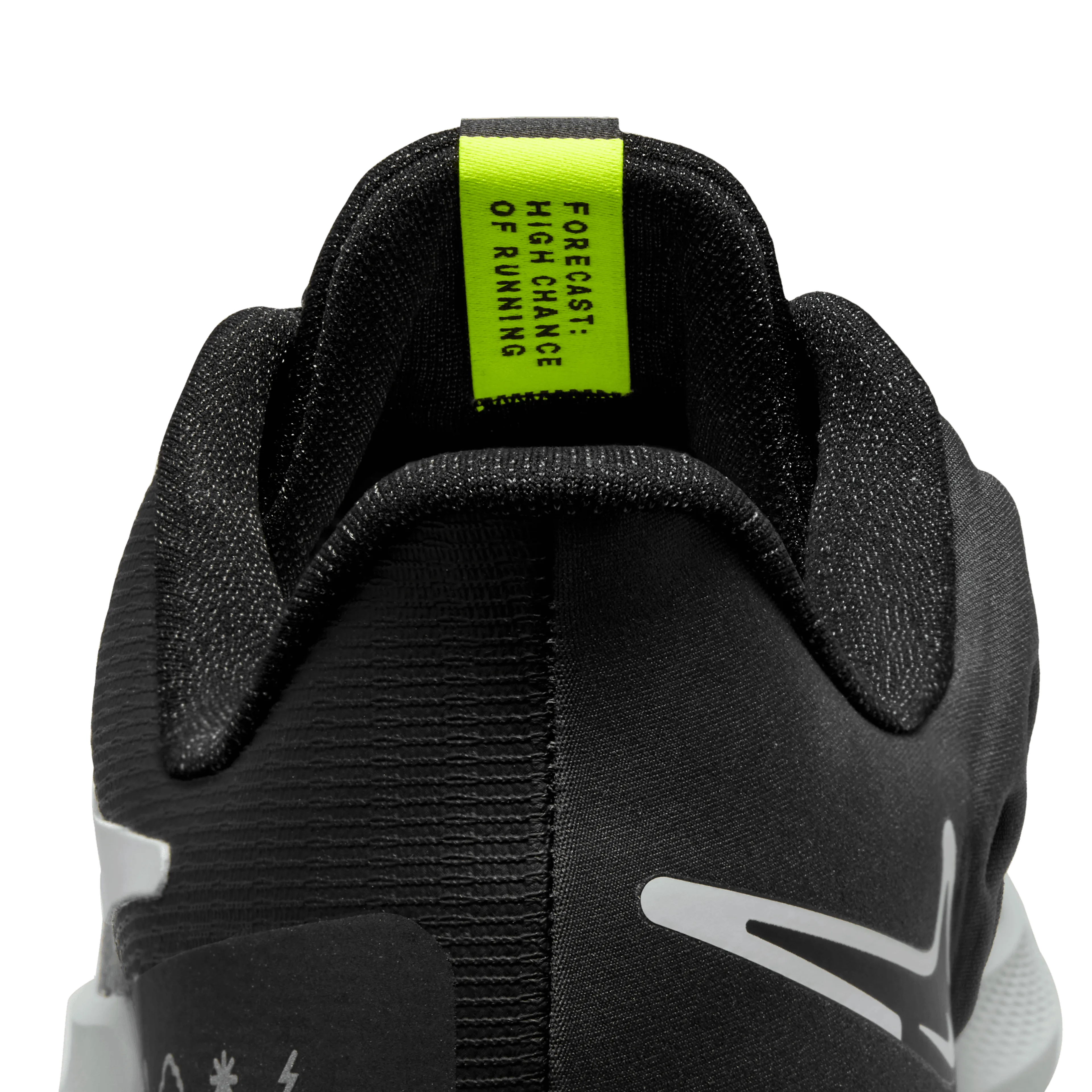 Air Zoom Pegasus 39 Shield løpesko herre