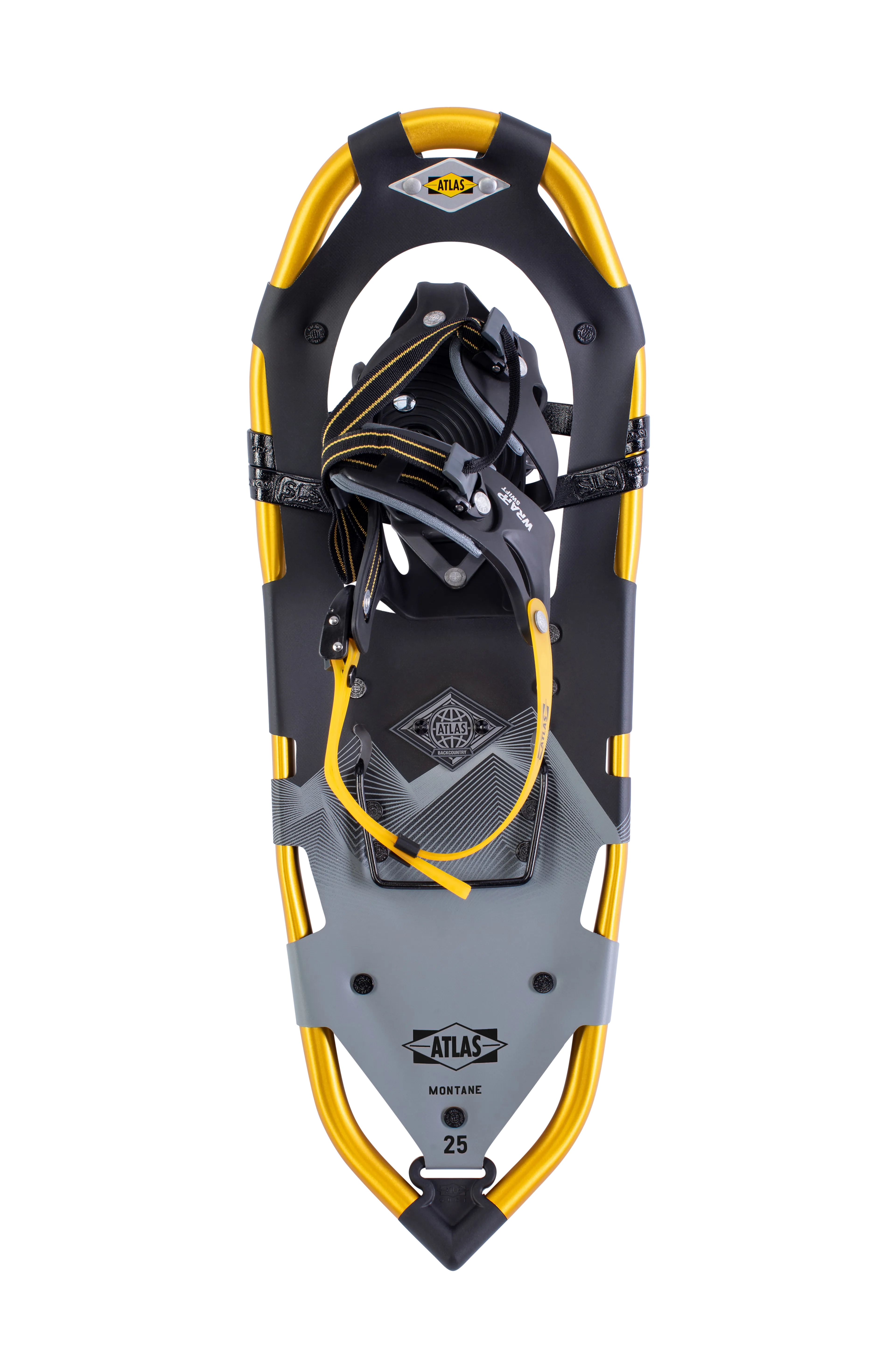 Montane