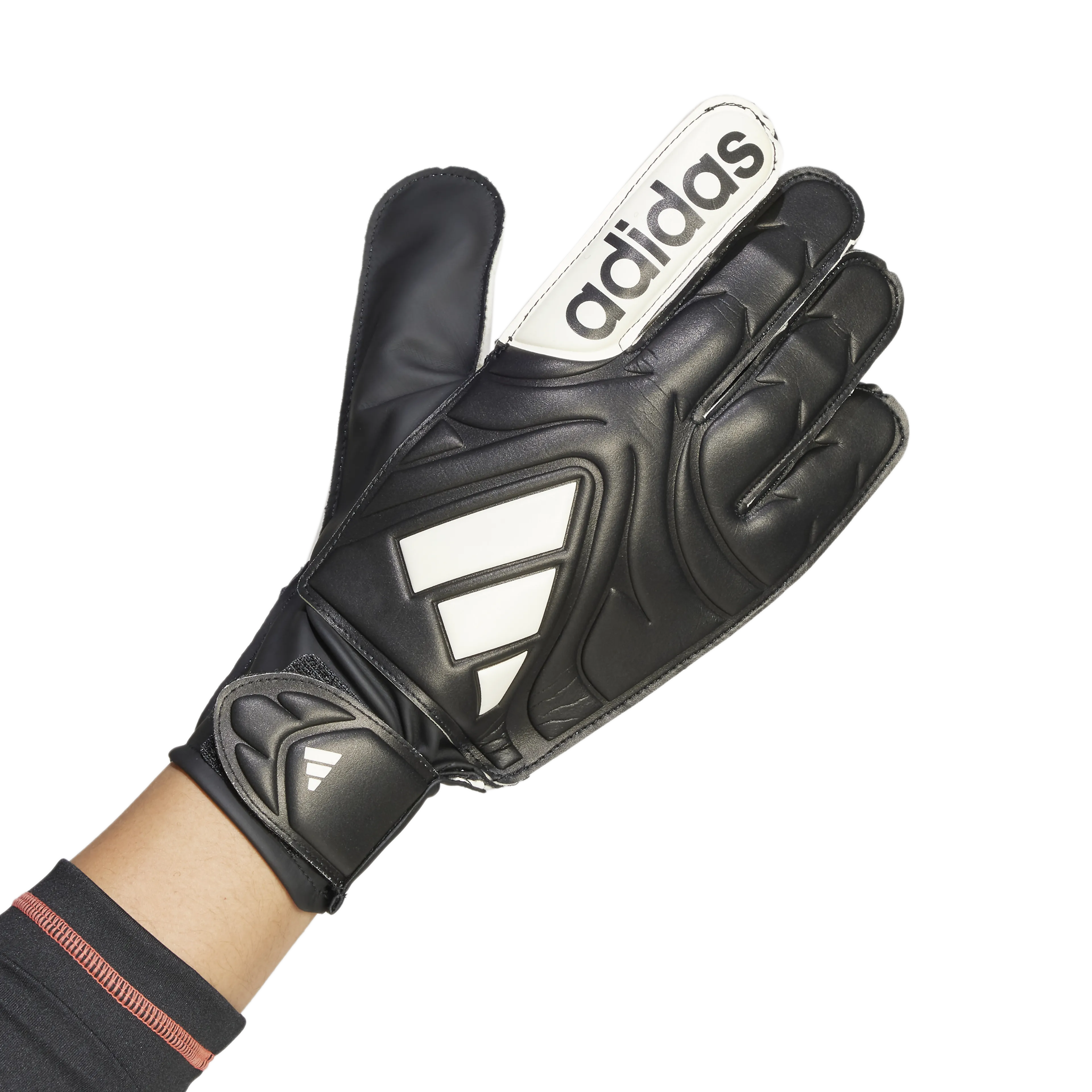 COPA GL CLB