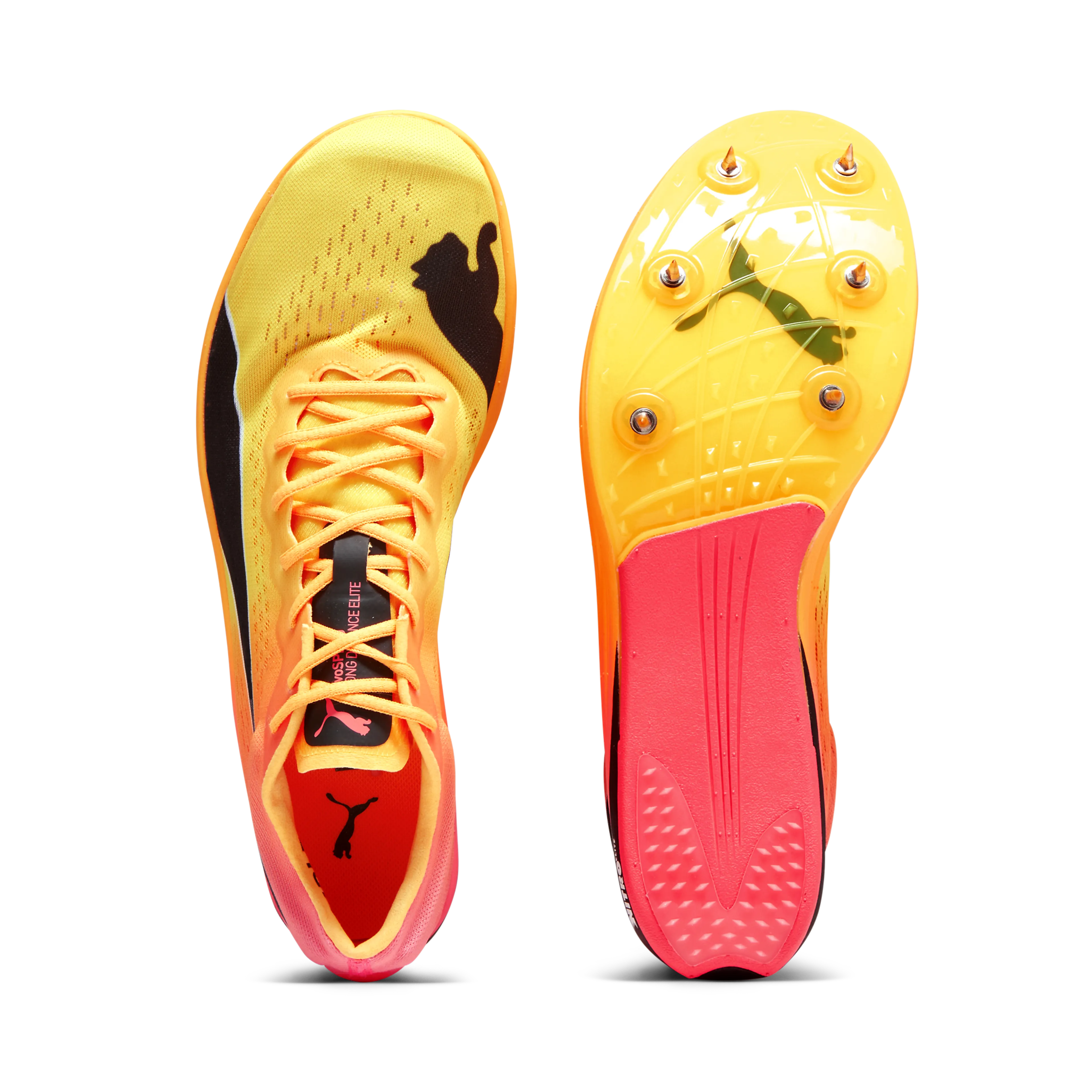 evoSPEED Long Distance Nitro Elite+
