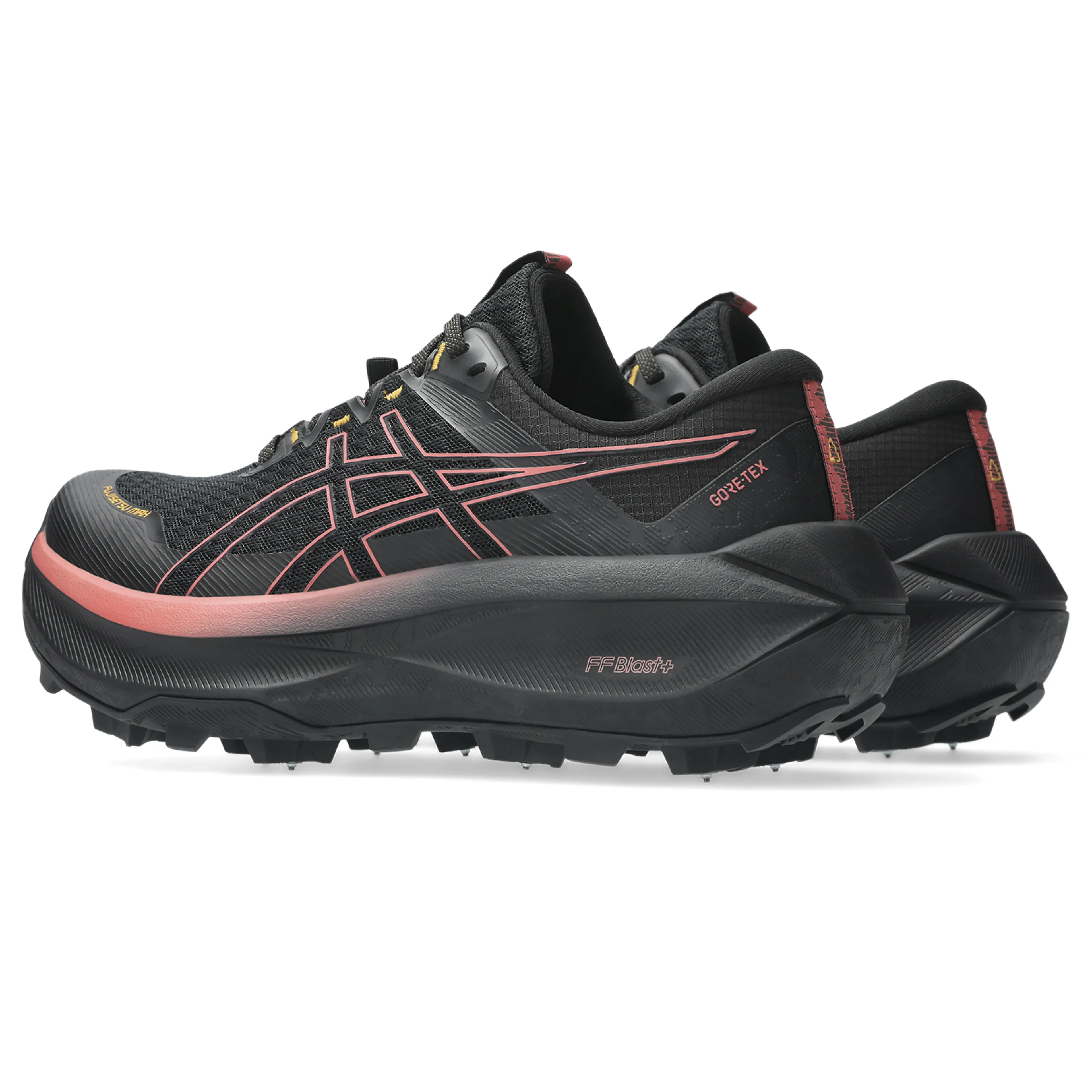 FUJISETSU MAX GTX