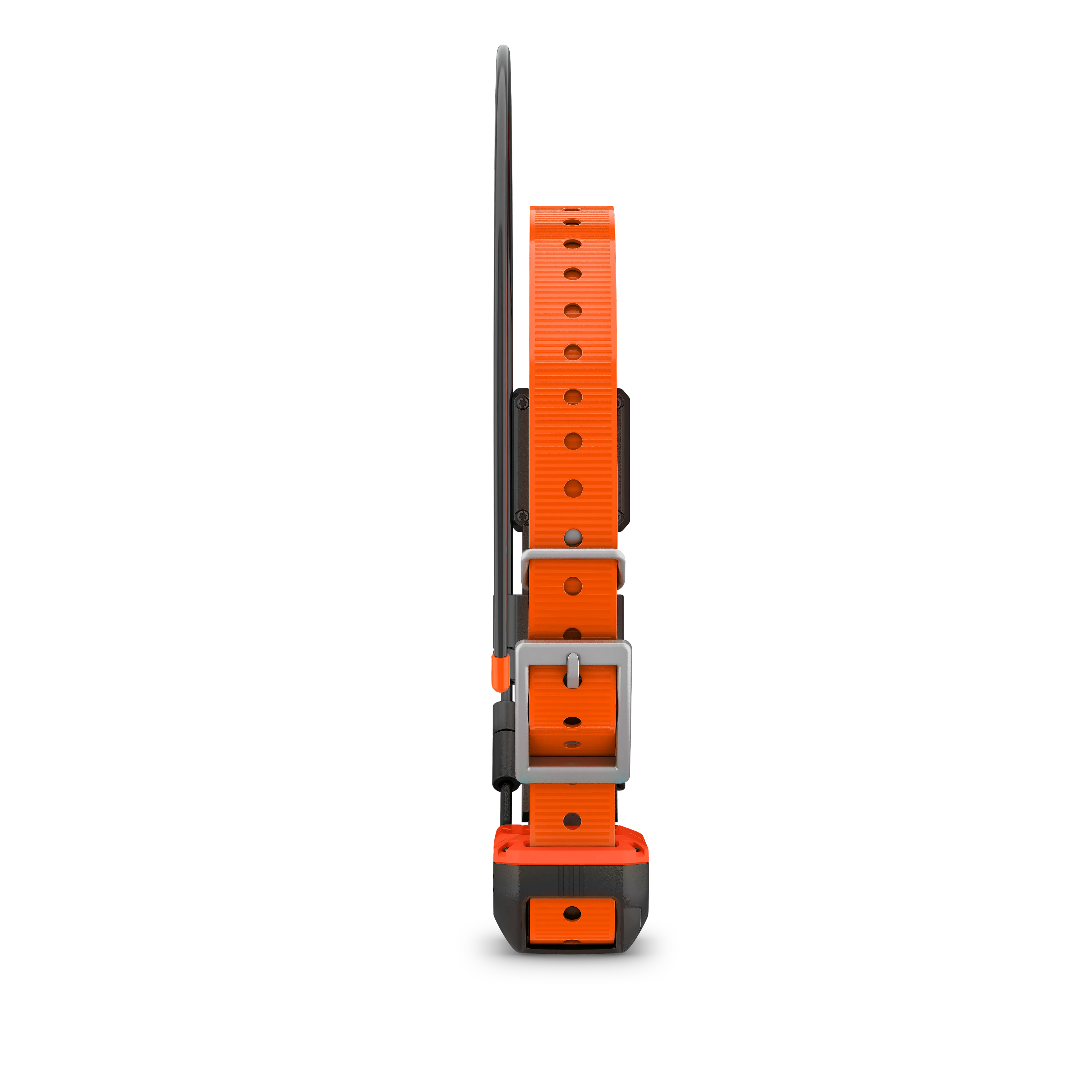 Alpha T20 GPS collar, Nordic