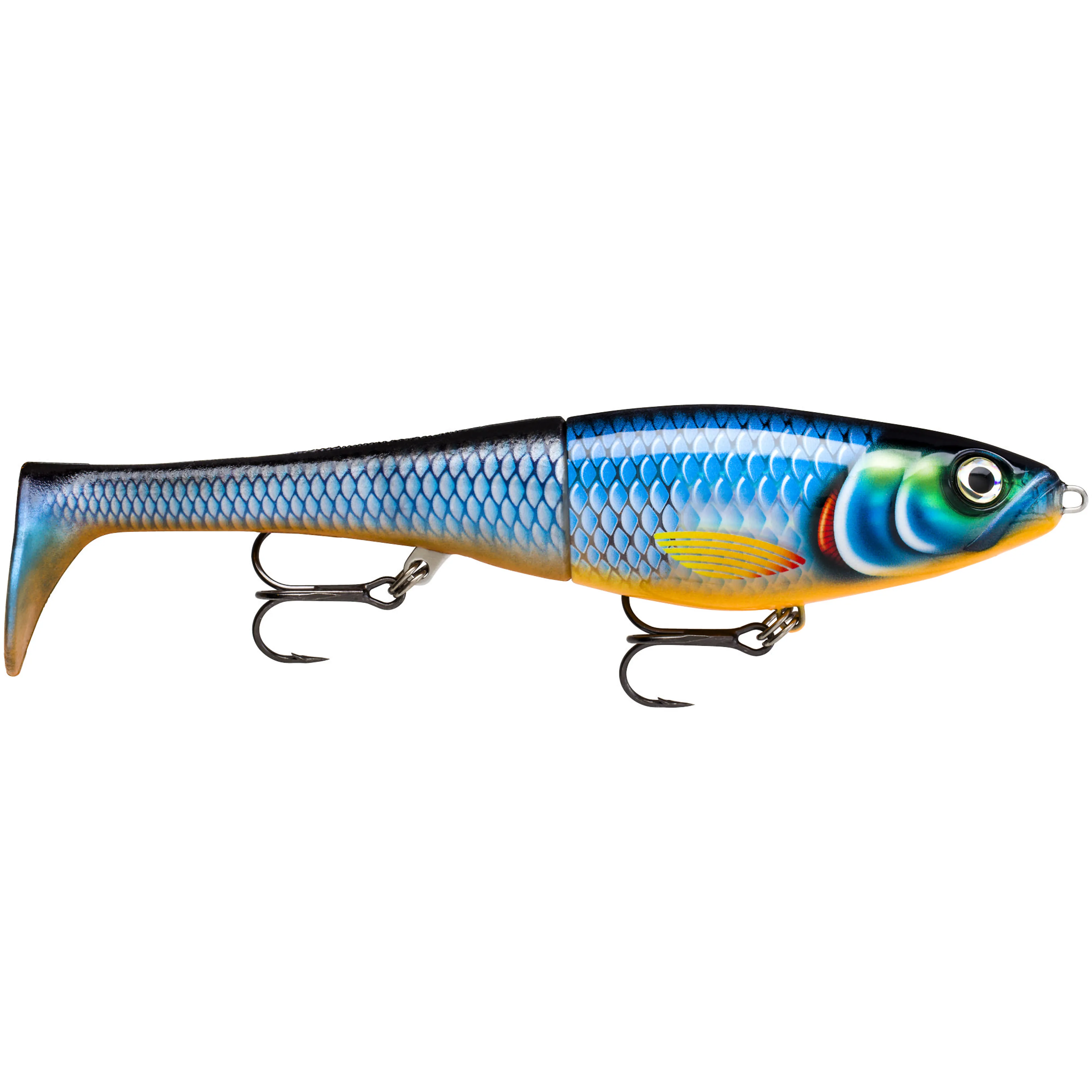 X-RAP PETO 20CM BGH