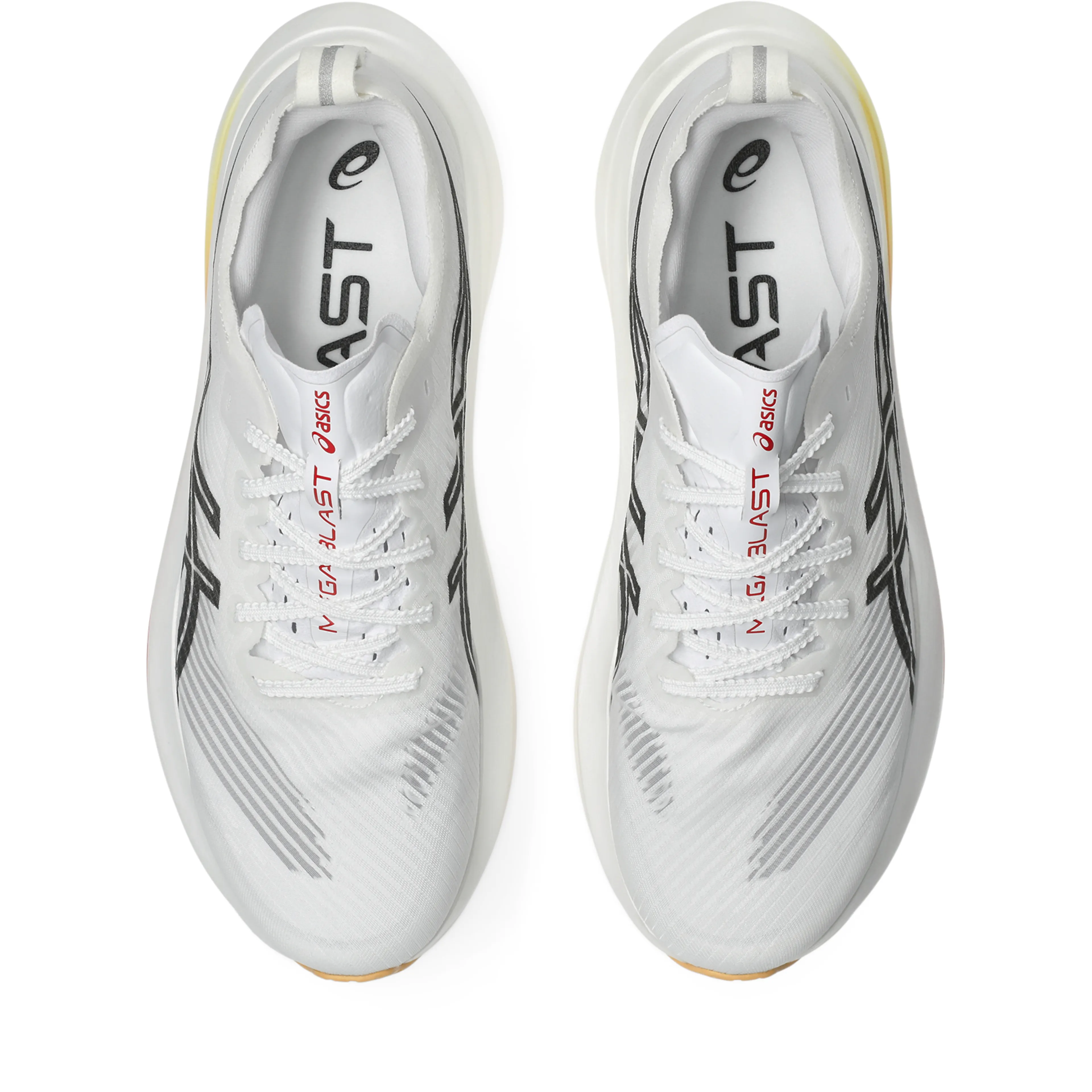 MEGABLAST