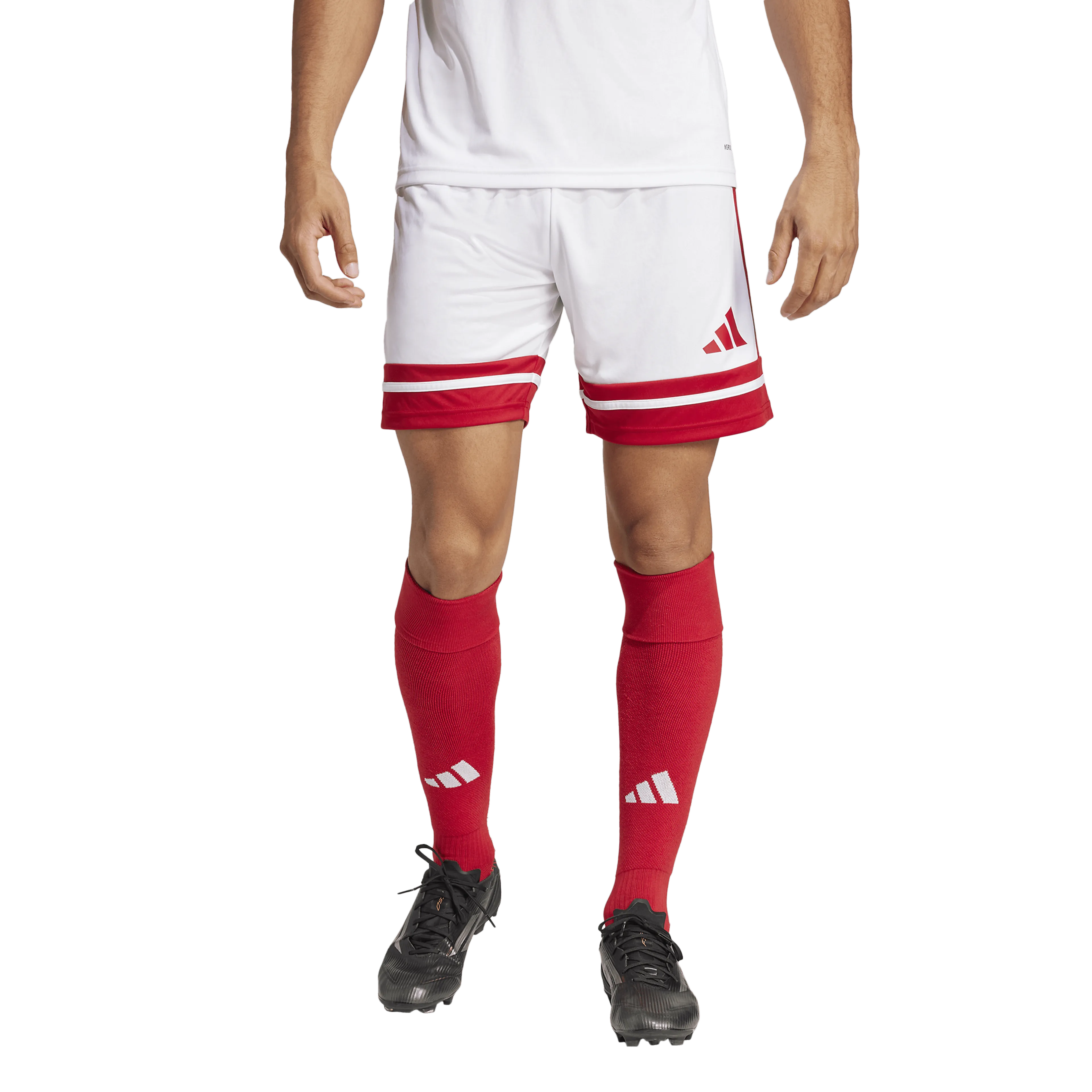 Squadra 25 Shorts
