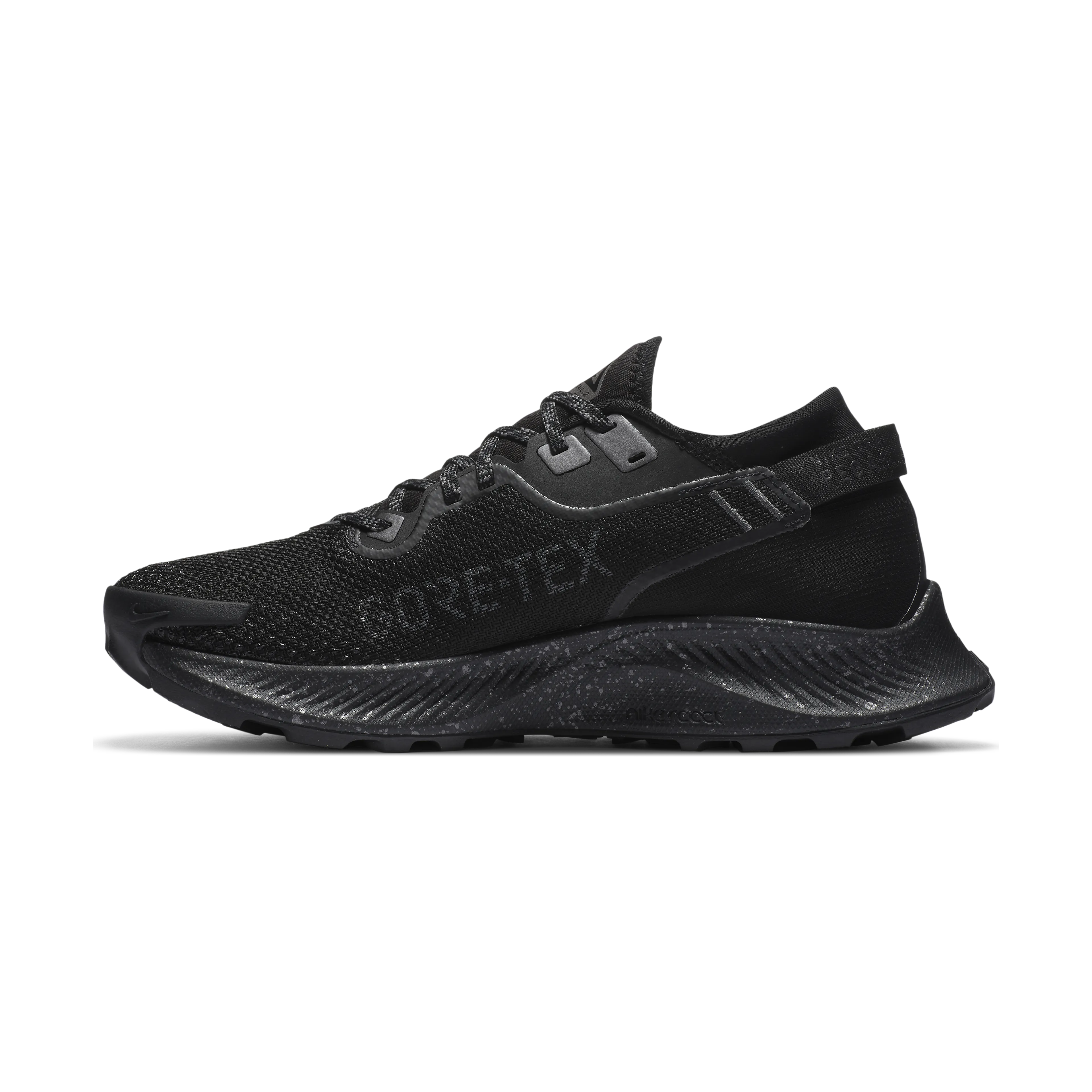 Pegasus Trail 2 GTX