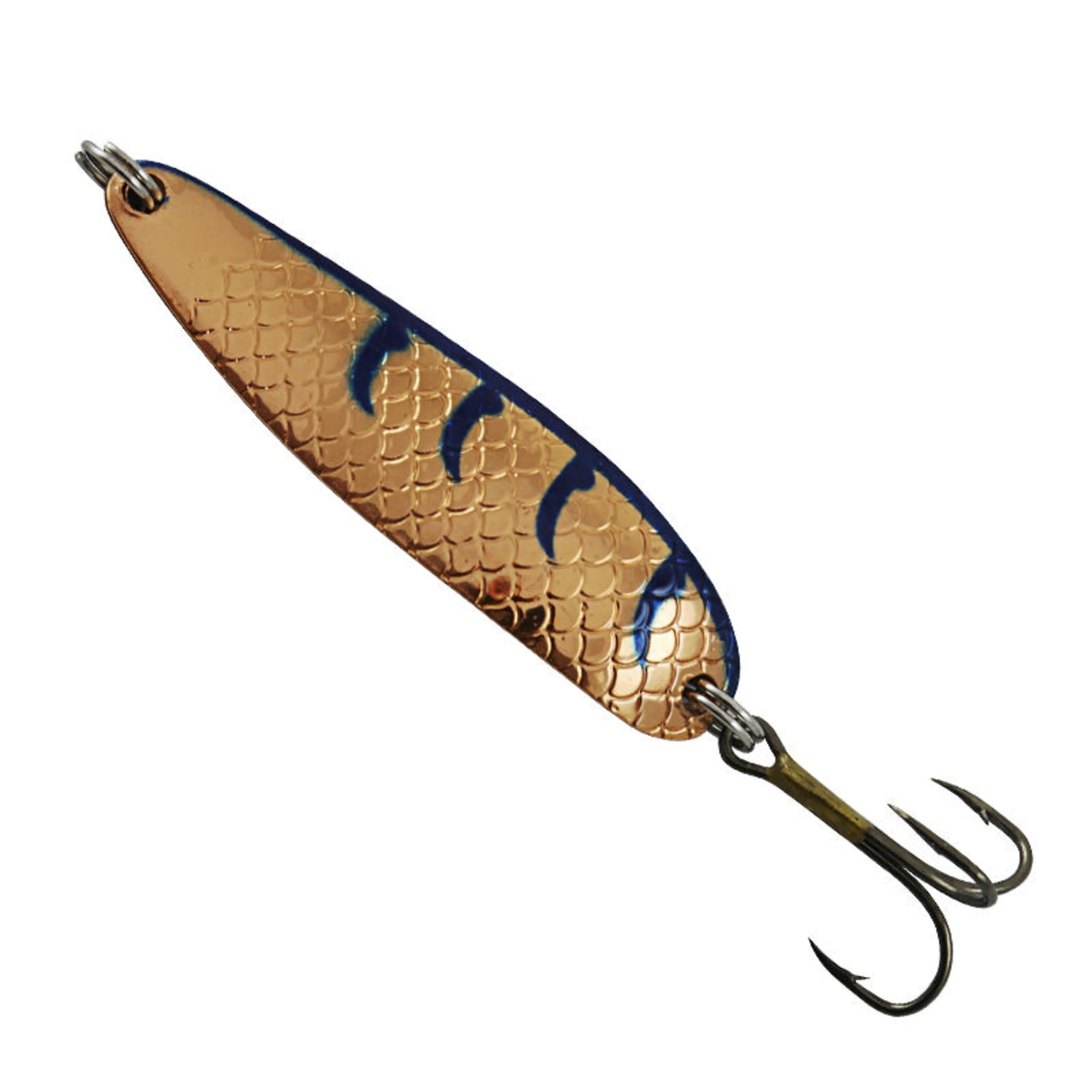 Buch Salmon