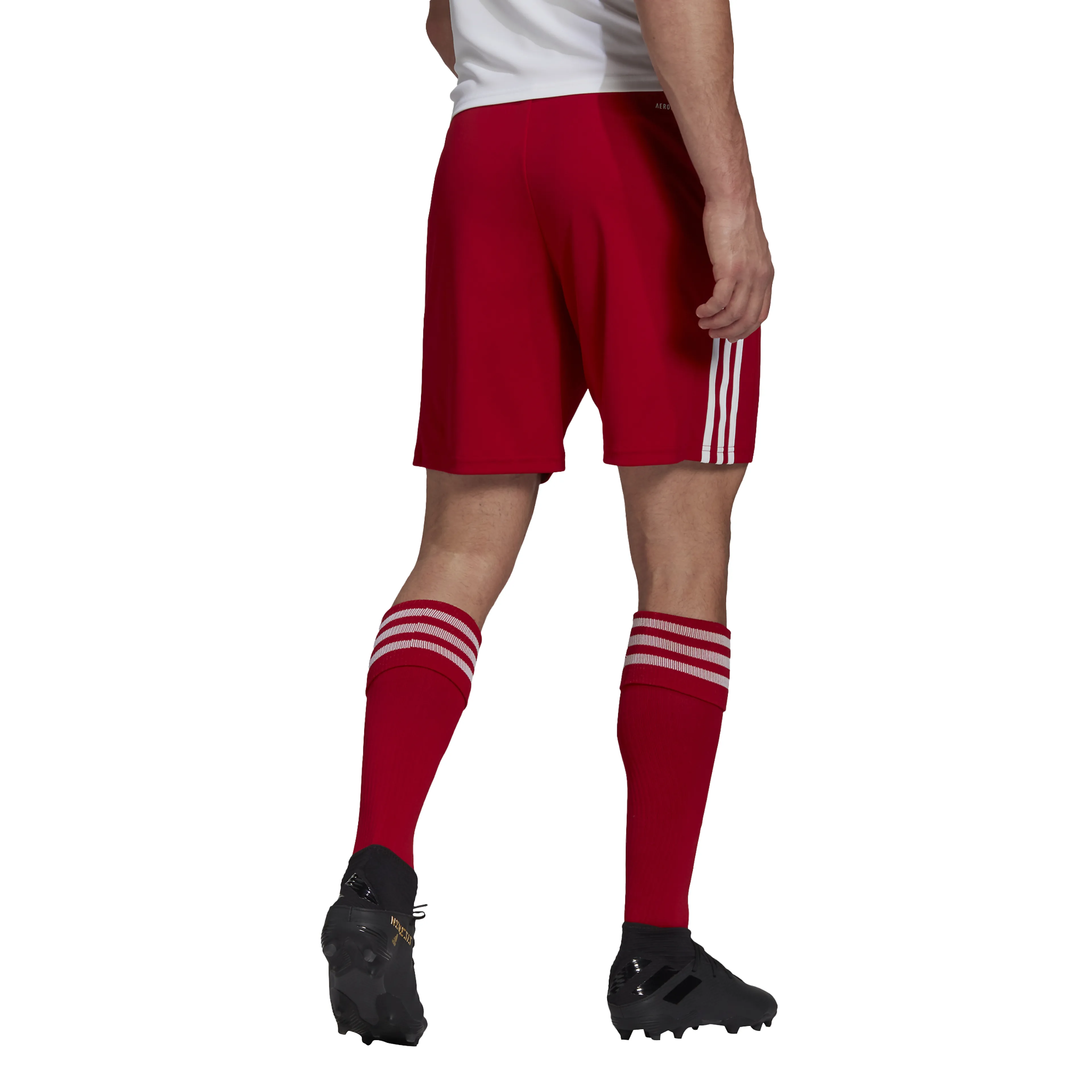 Squadra 21 shorts herre