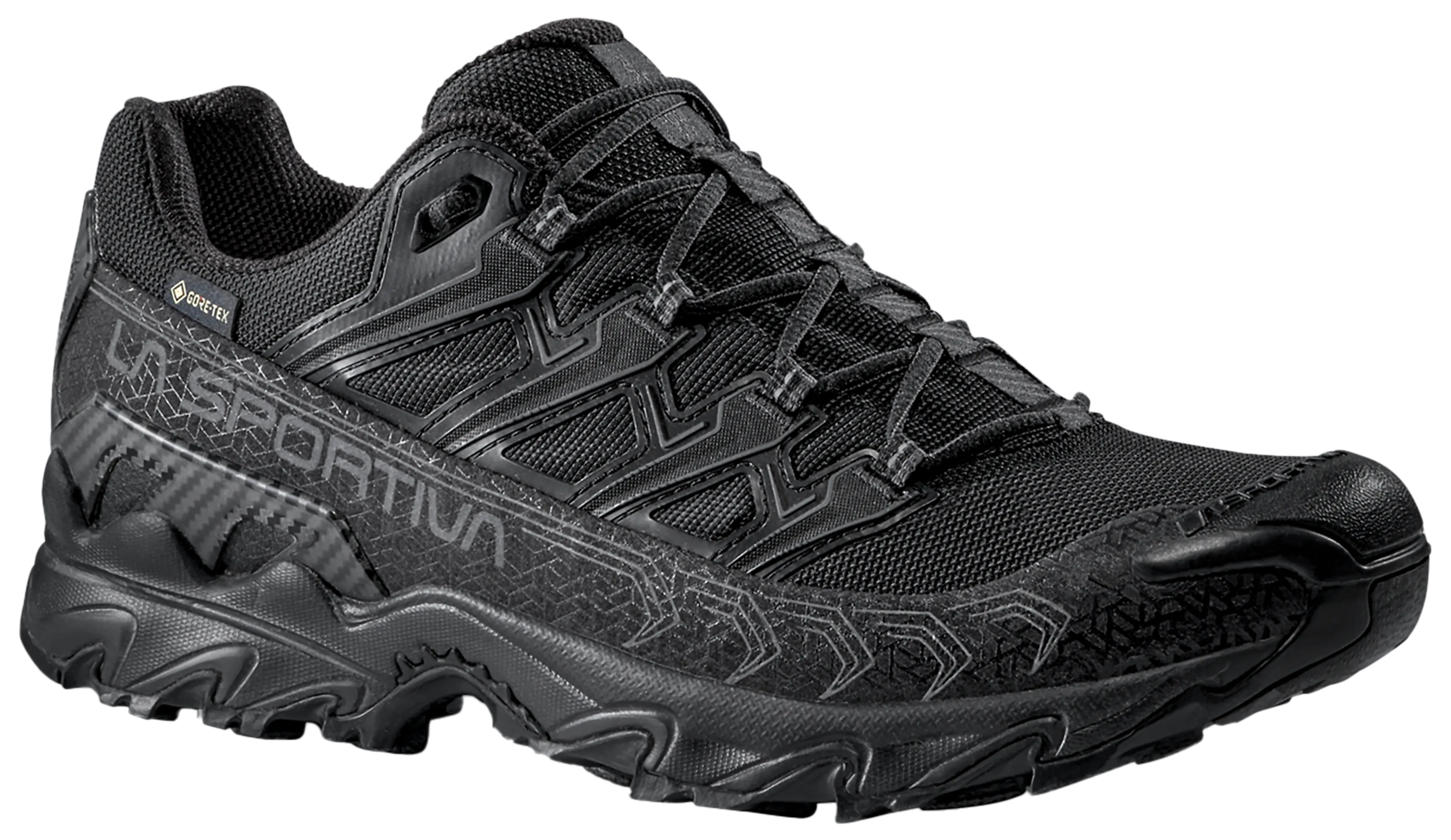 Ultra Raptor II GTX Hikingsko