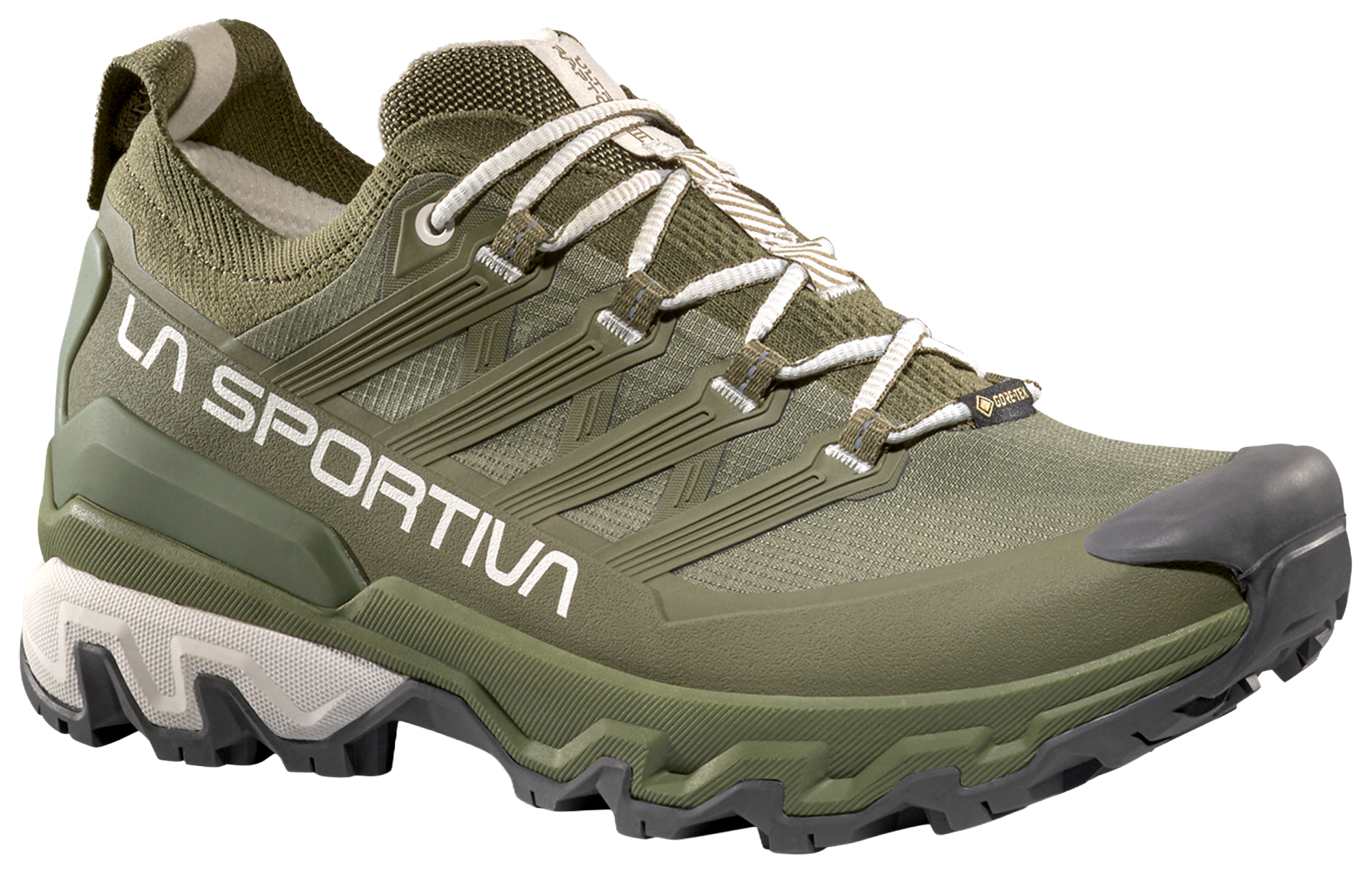 Ultra Raptor 3 GTX W's Hikingsko