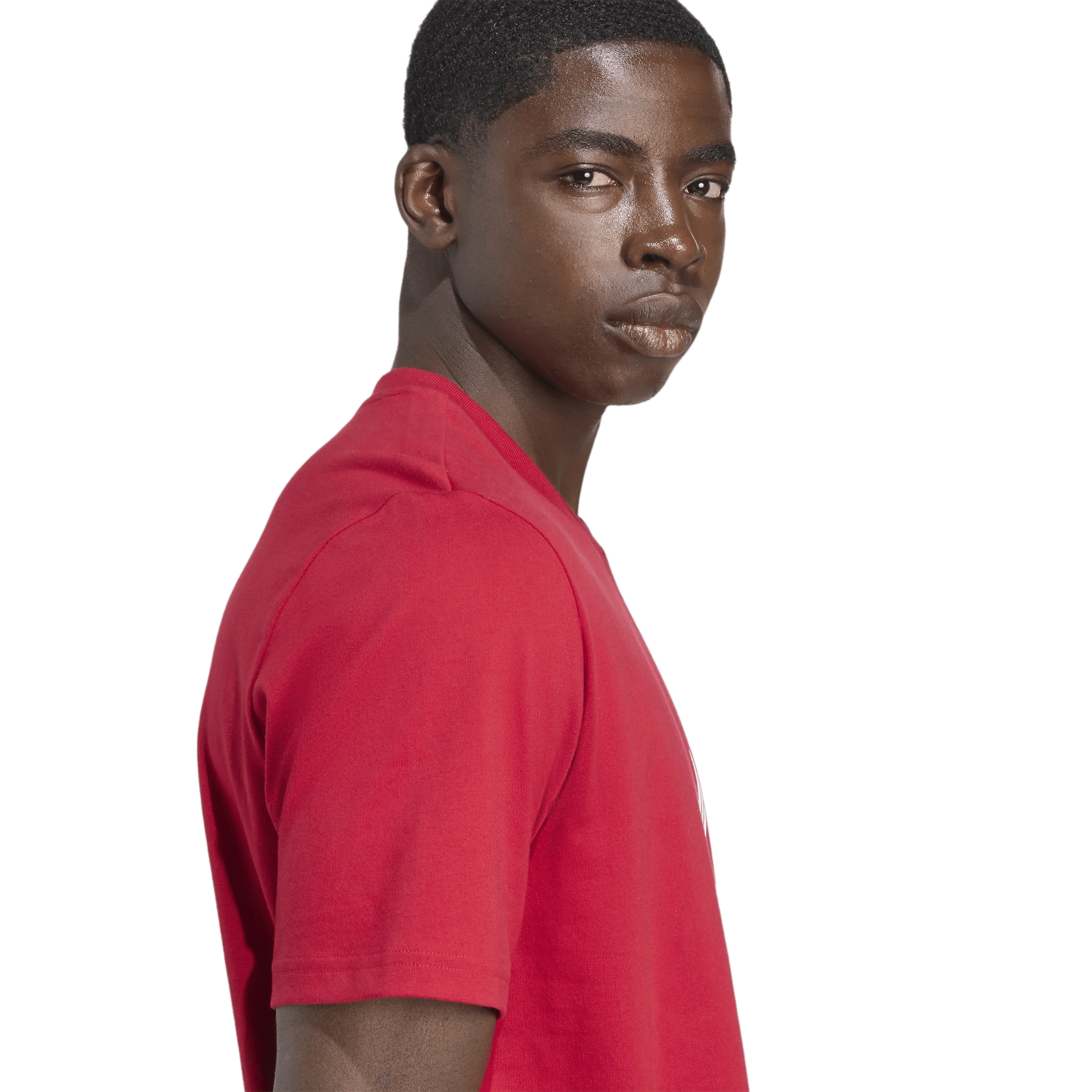 Liverpool FC DNA Graphic T-Skjorte