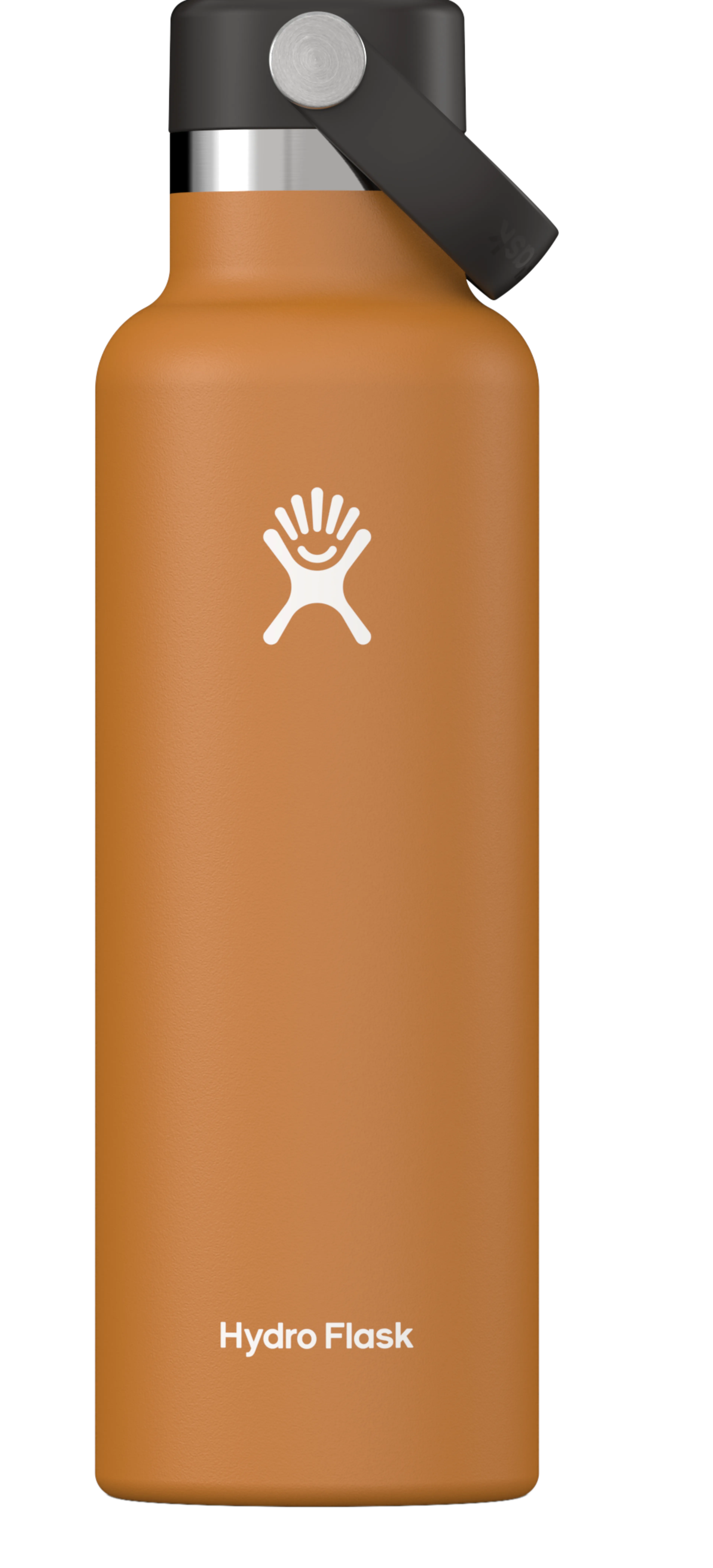 FOSSIL