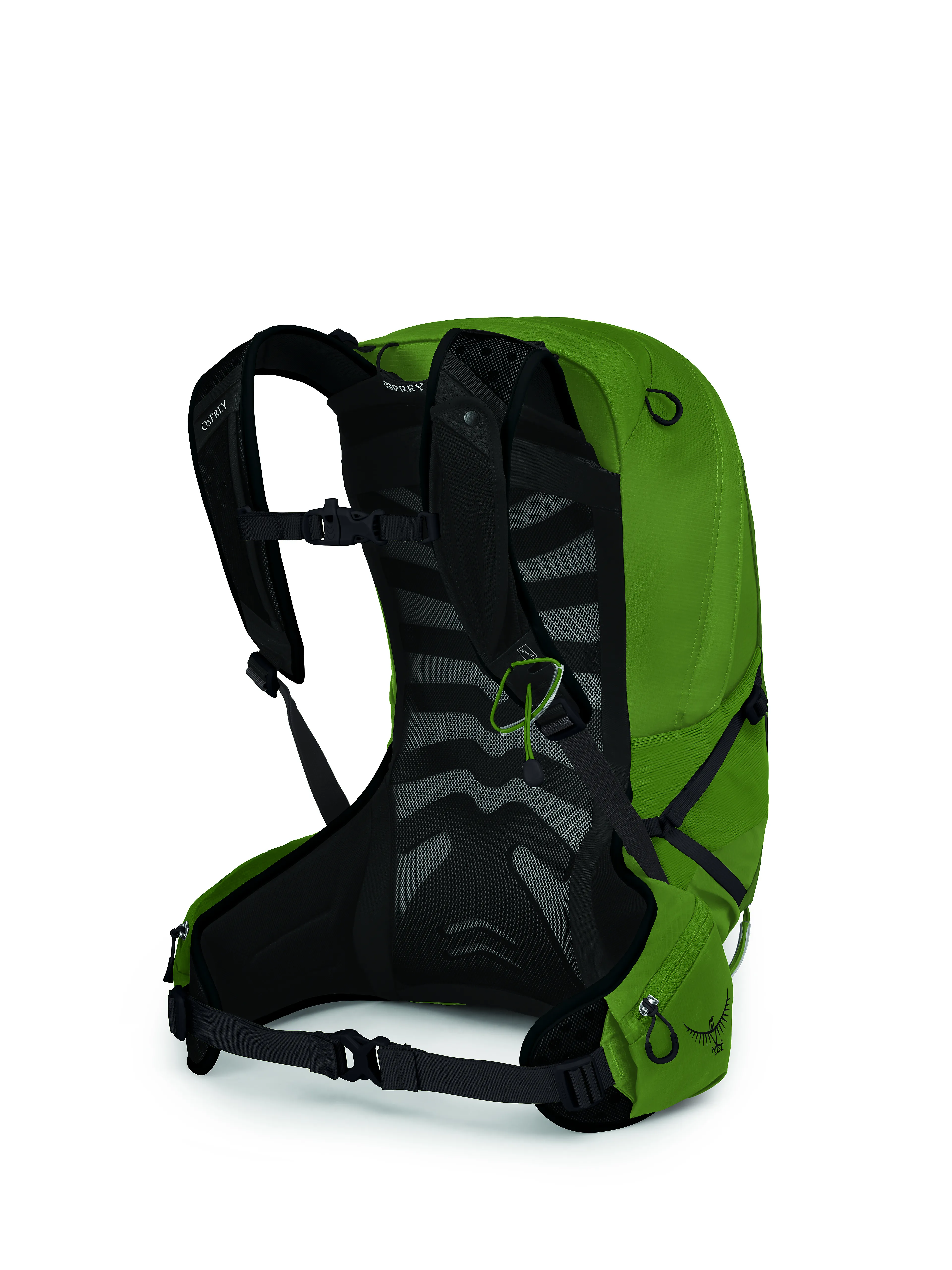 Talon 22