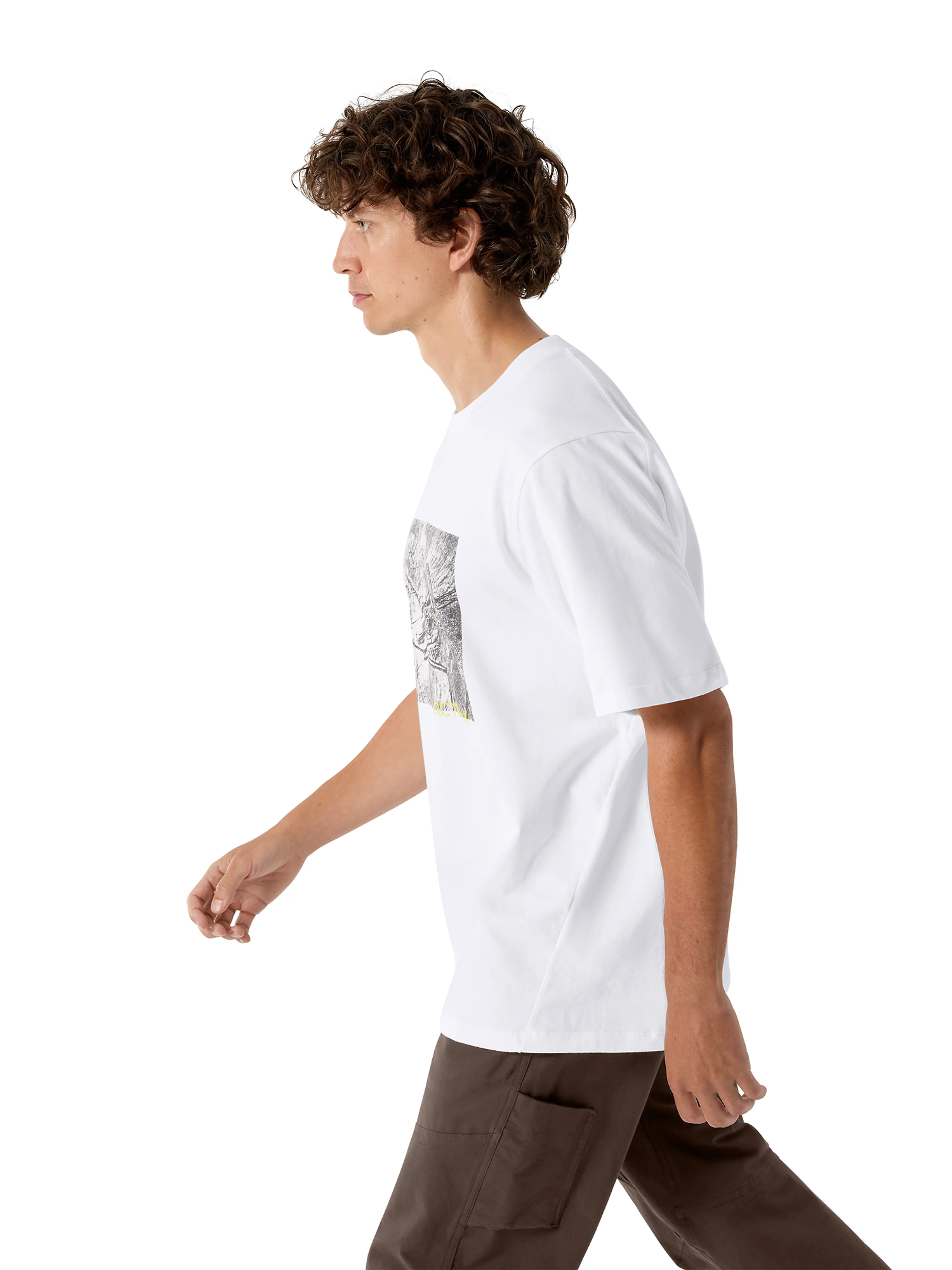 Kragg Cotton Lithographica SS M