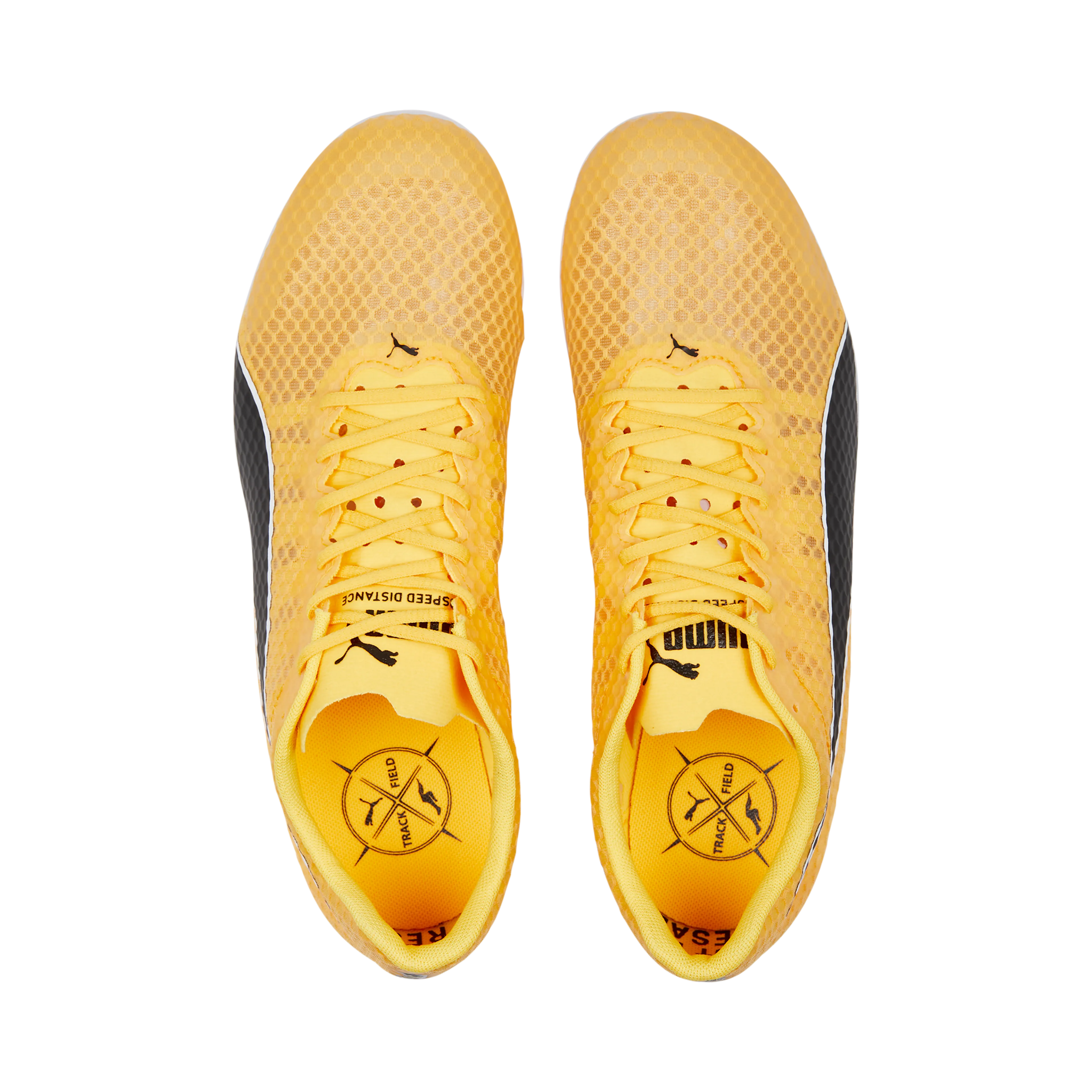 evoSPEED Distance 11