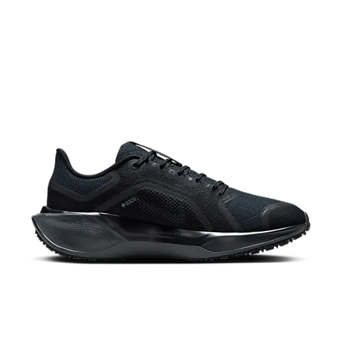 Nike Pegasus GTX 41