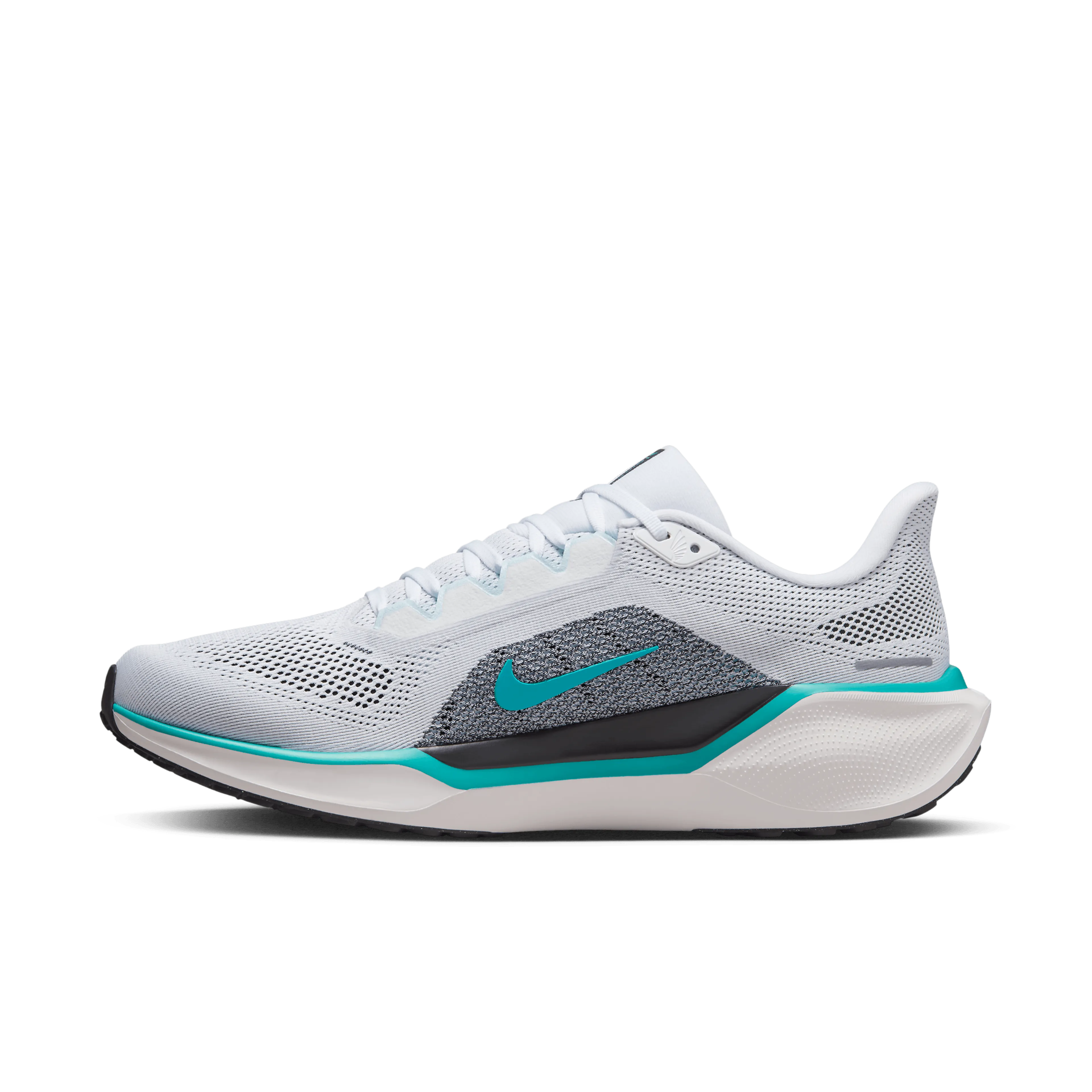  Pegasus 41