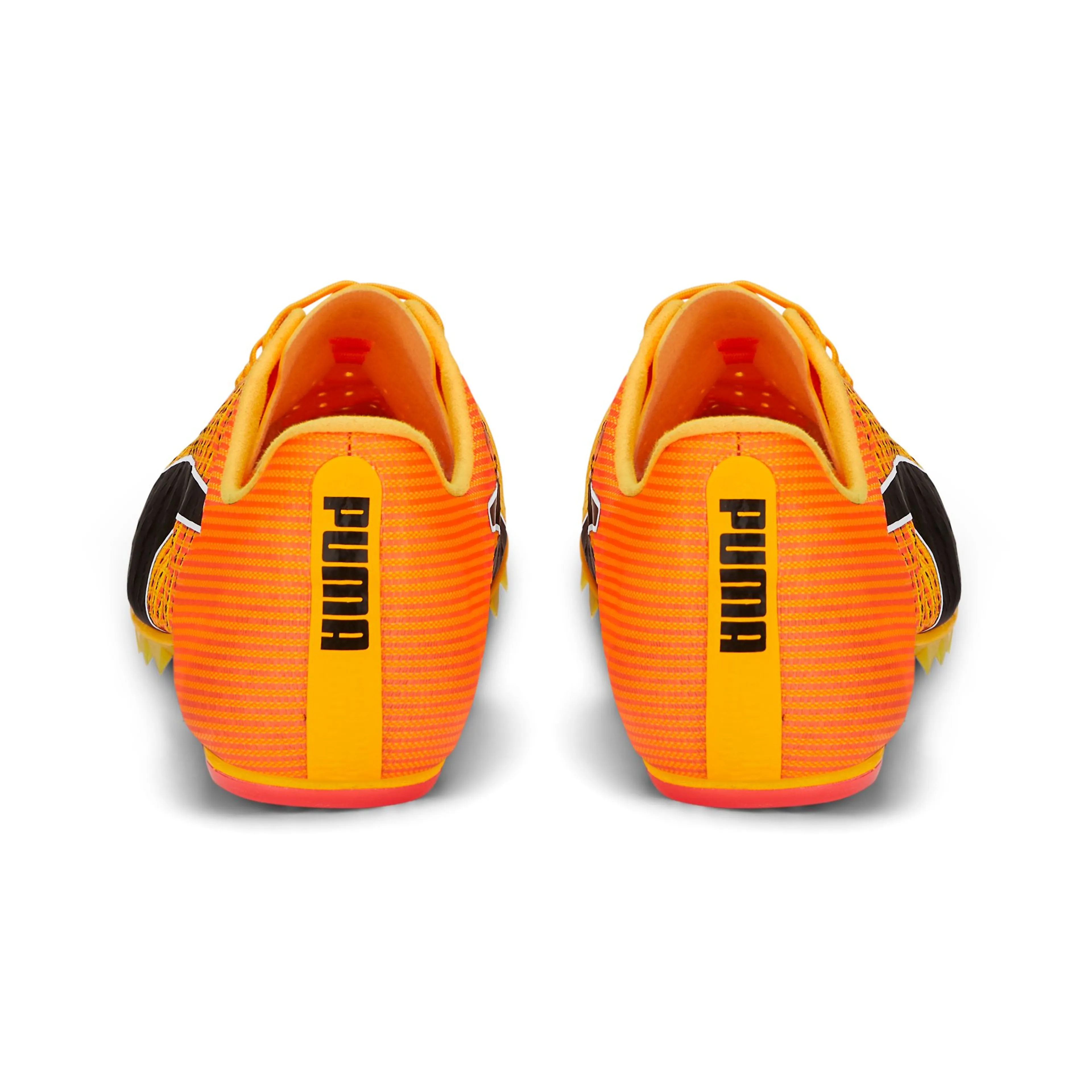 evoSPEED Tokyo Future 4
