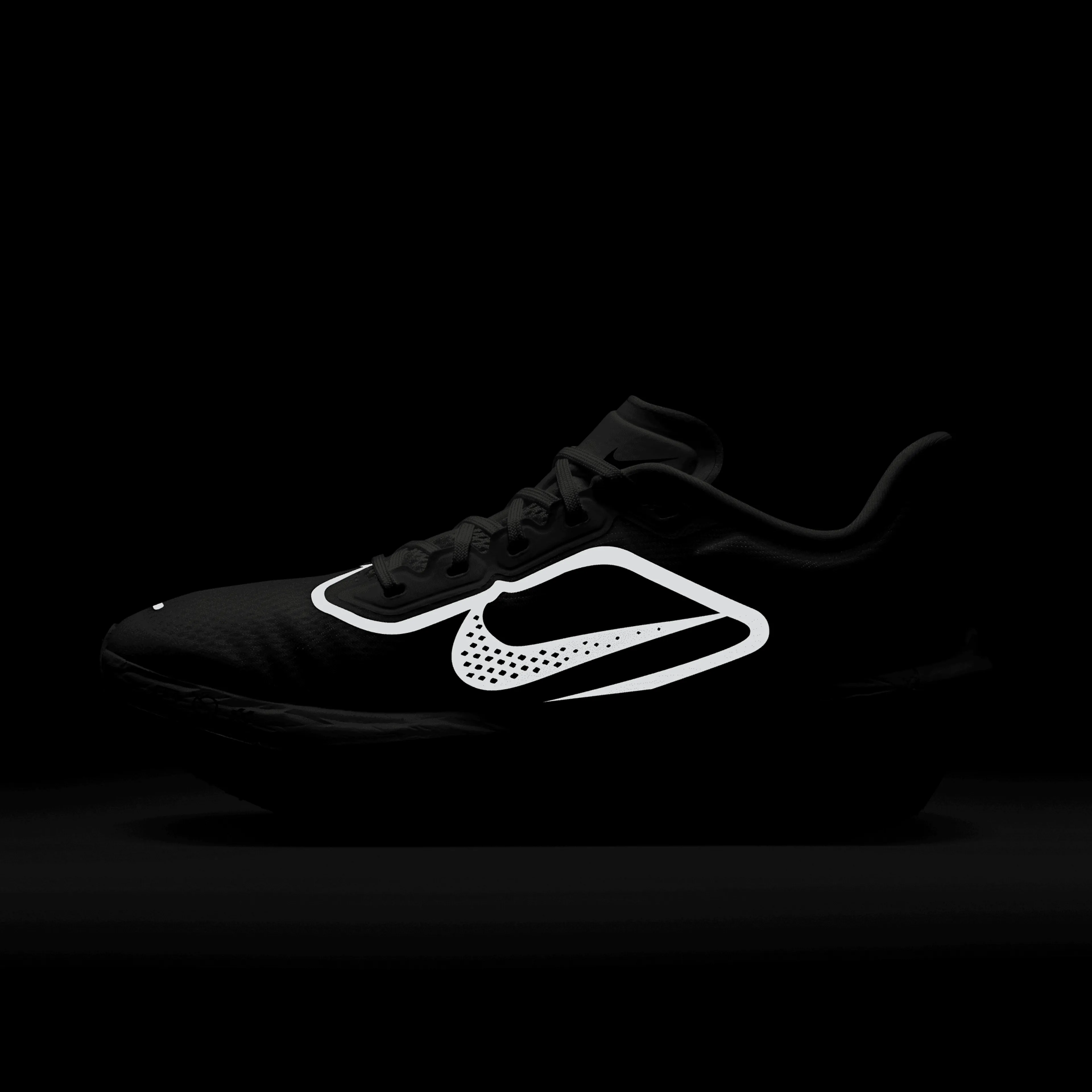 Zoom Fly 6