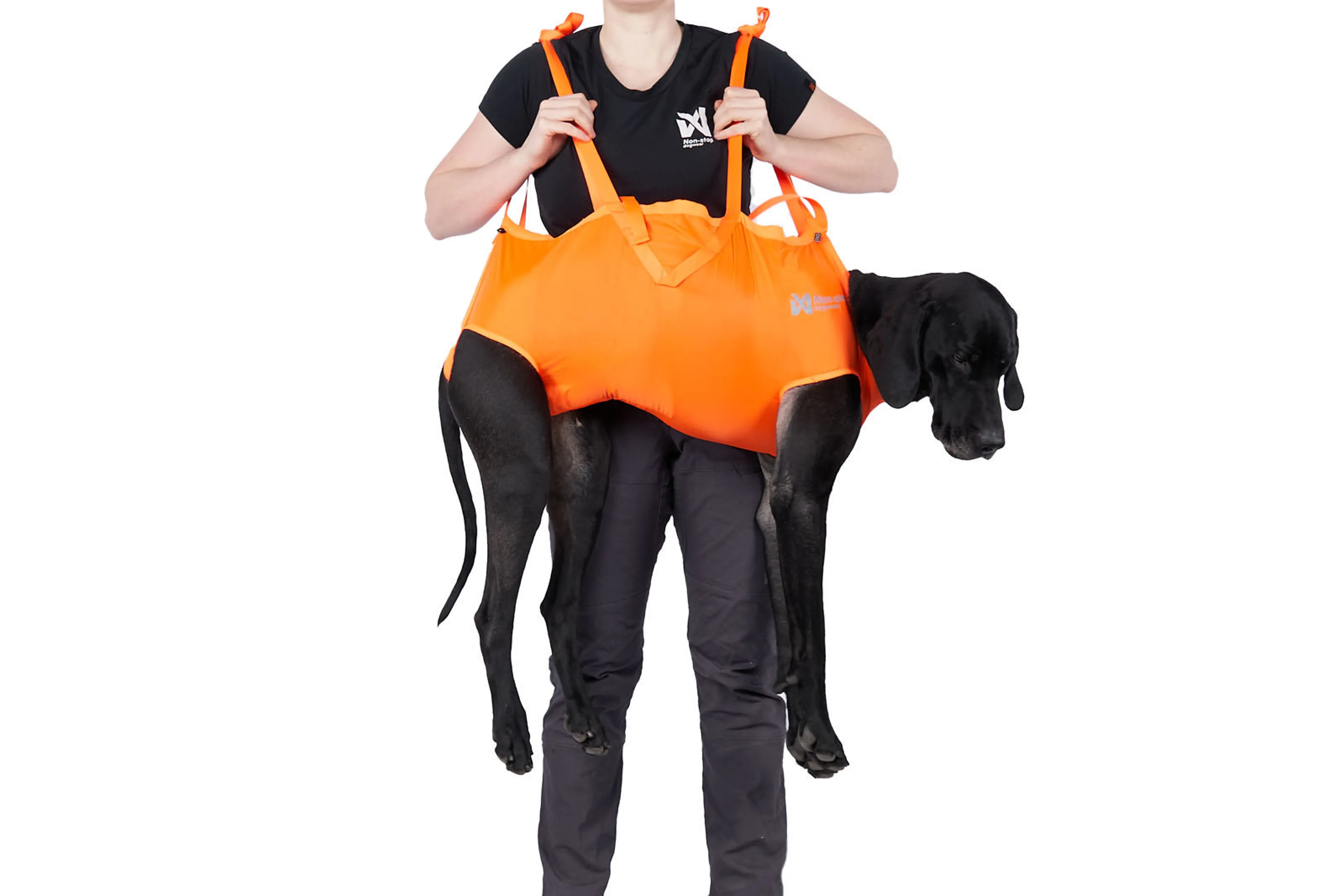 Dog rescue sling