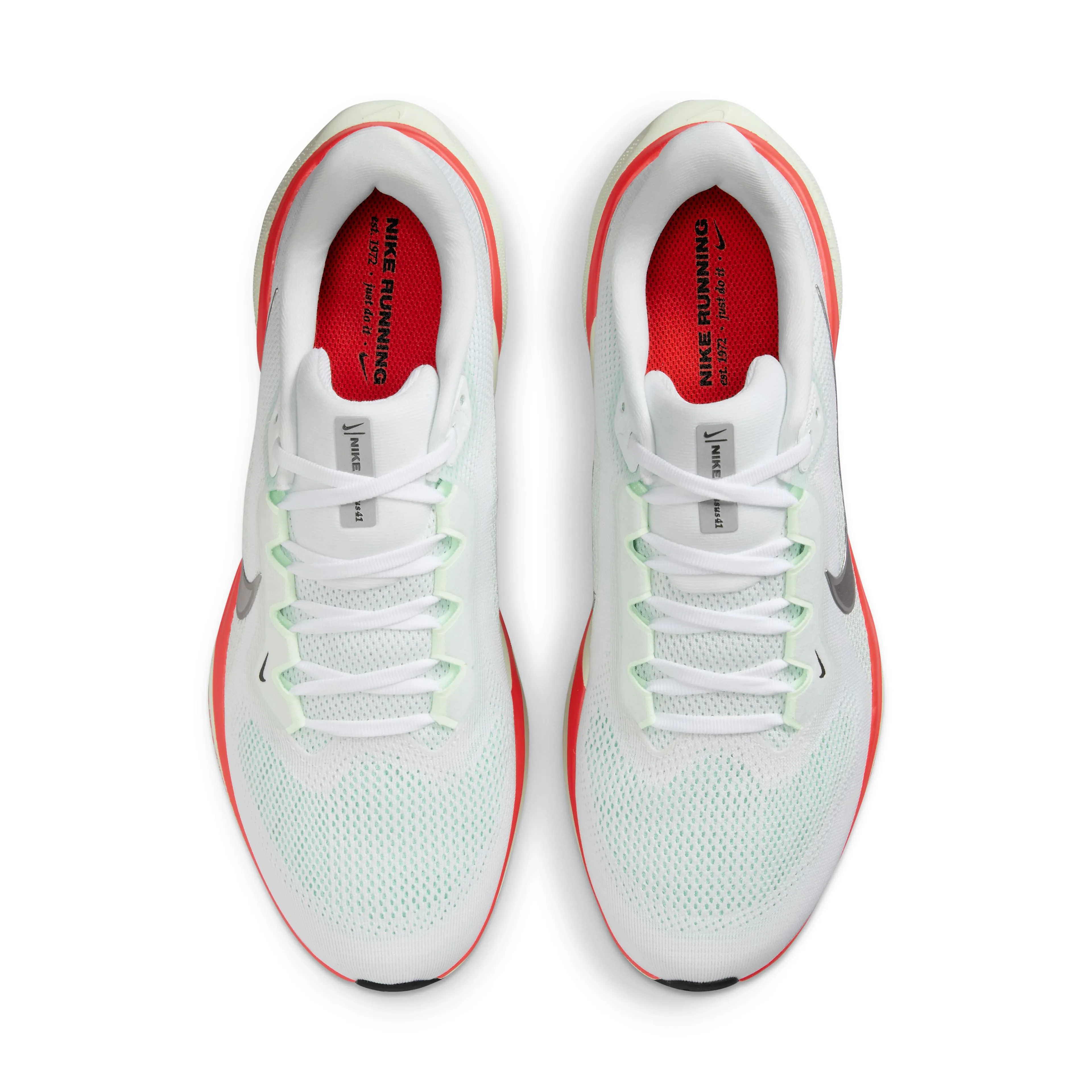 AIR ZOOM PEGASUS 41